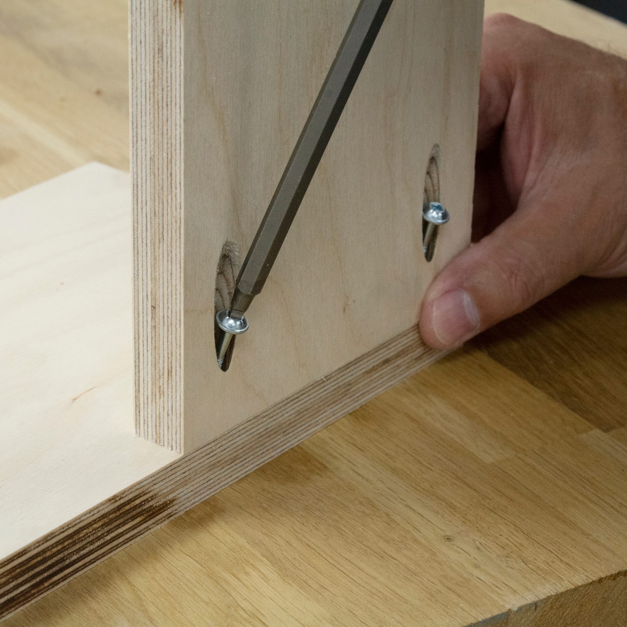Trend Tool Technology PH/8X50/200C Woodworking-Tool-Accessories - View #6