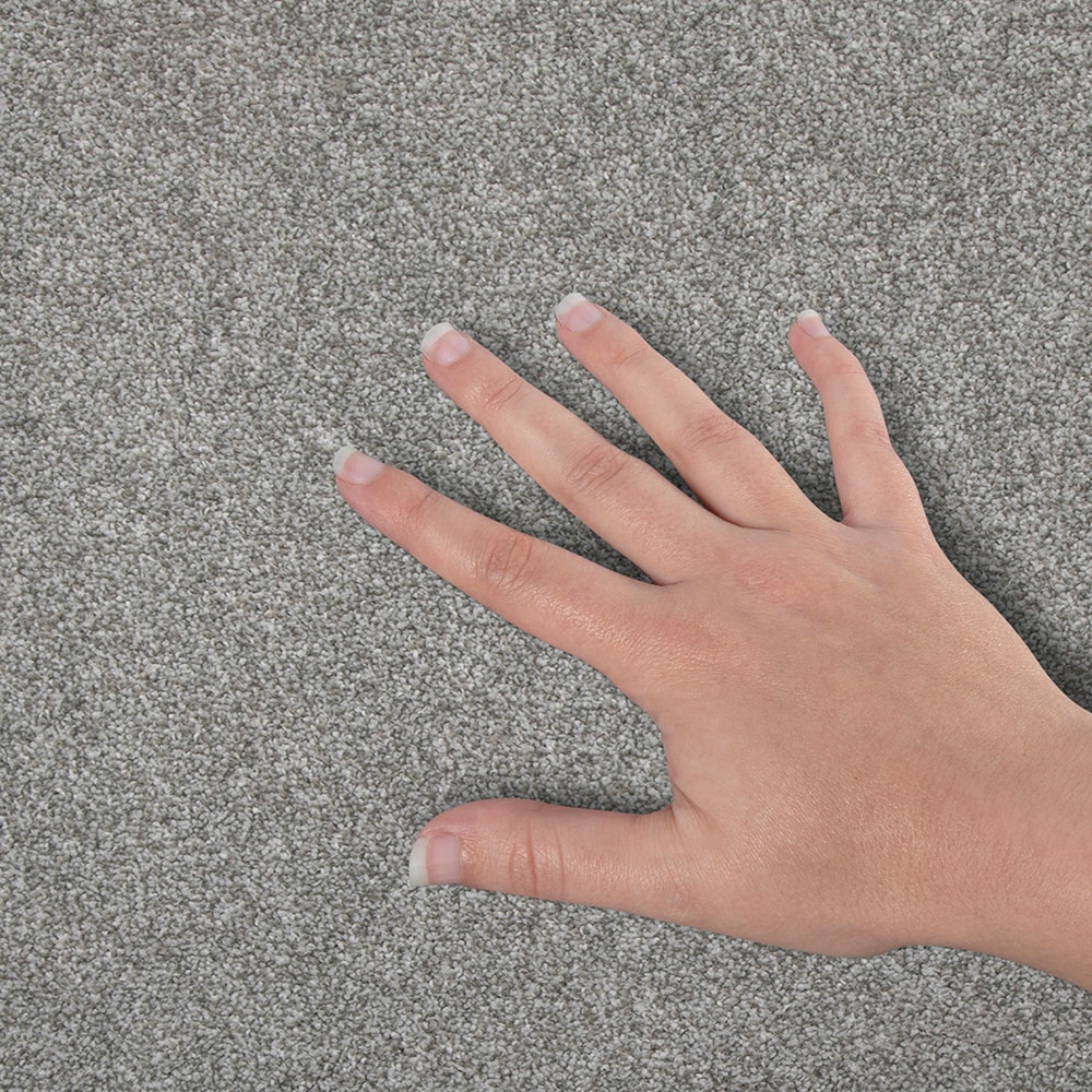 STAINMASTER SS029-L001-0808 Carpet-Samples - View #4
