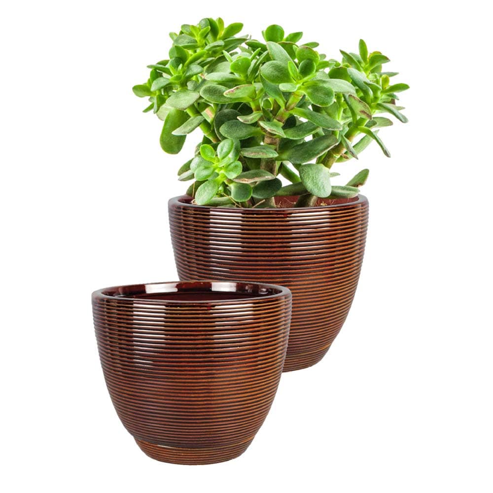 Southern Patio CRM-030867P2 Planter-Window-Box - View #7