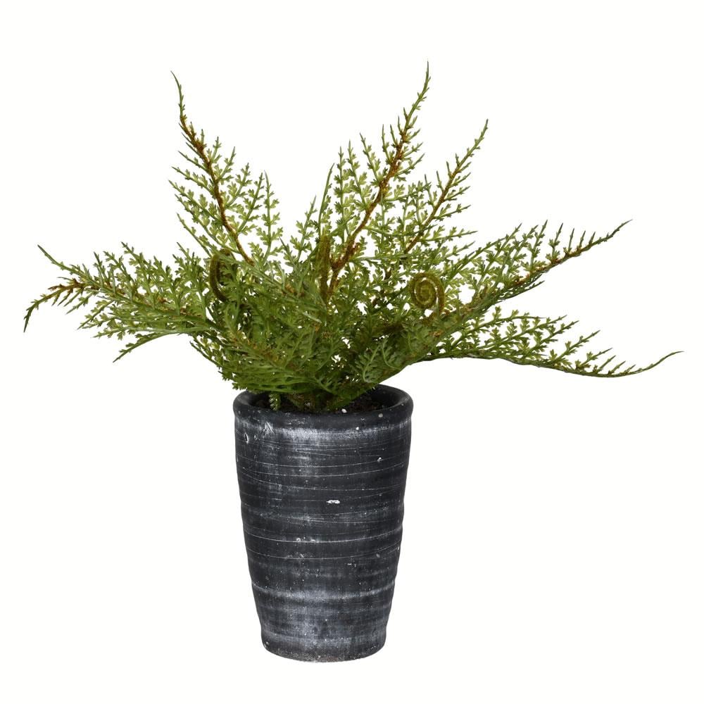 Vickerman FV196808 8.5-in Green Indoor Fern Artificial Plant