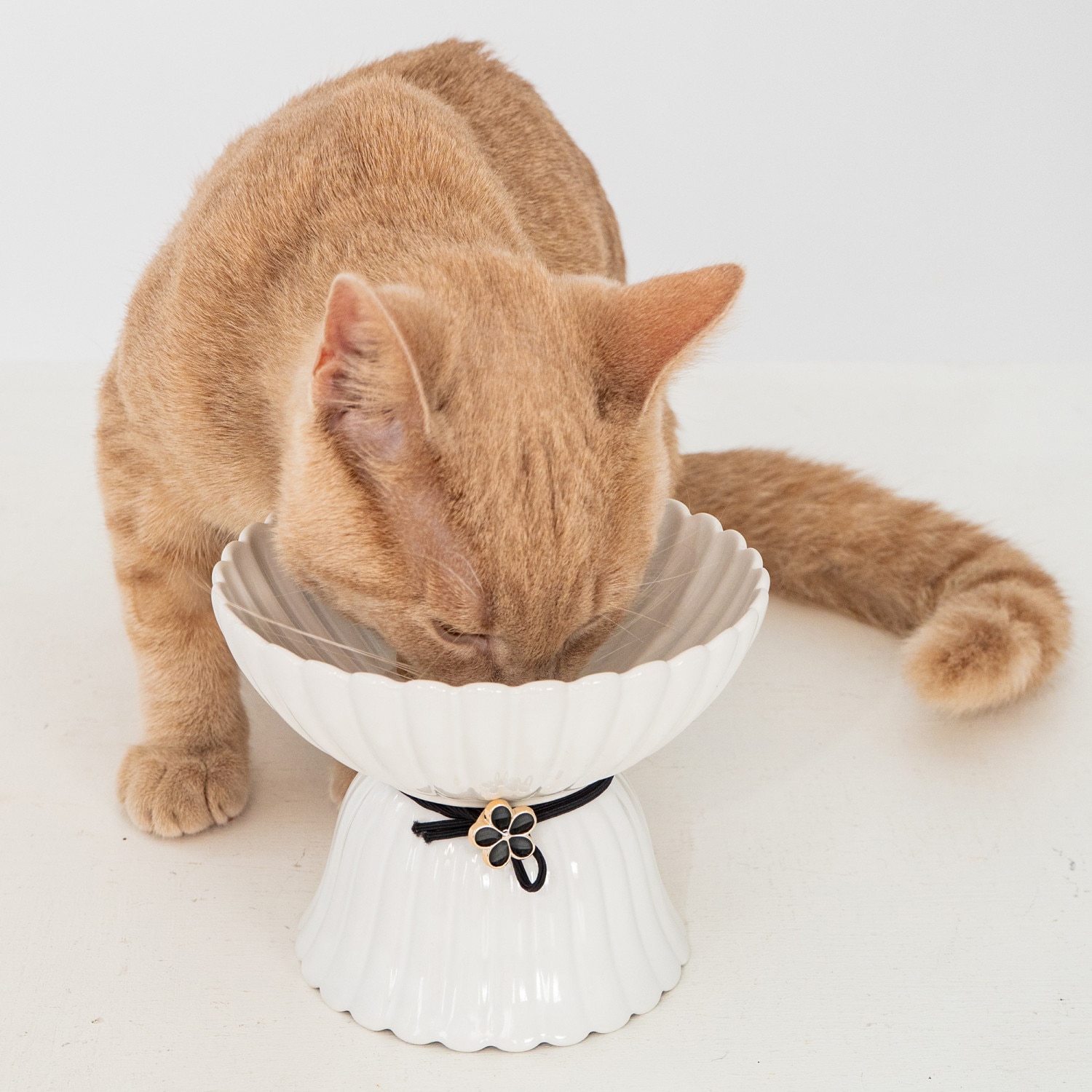 Dexypaws G0871789002130 Pet-Bowls - Thumbnail View #4