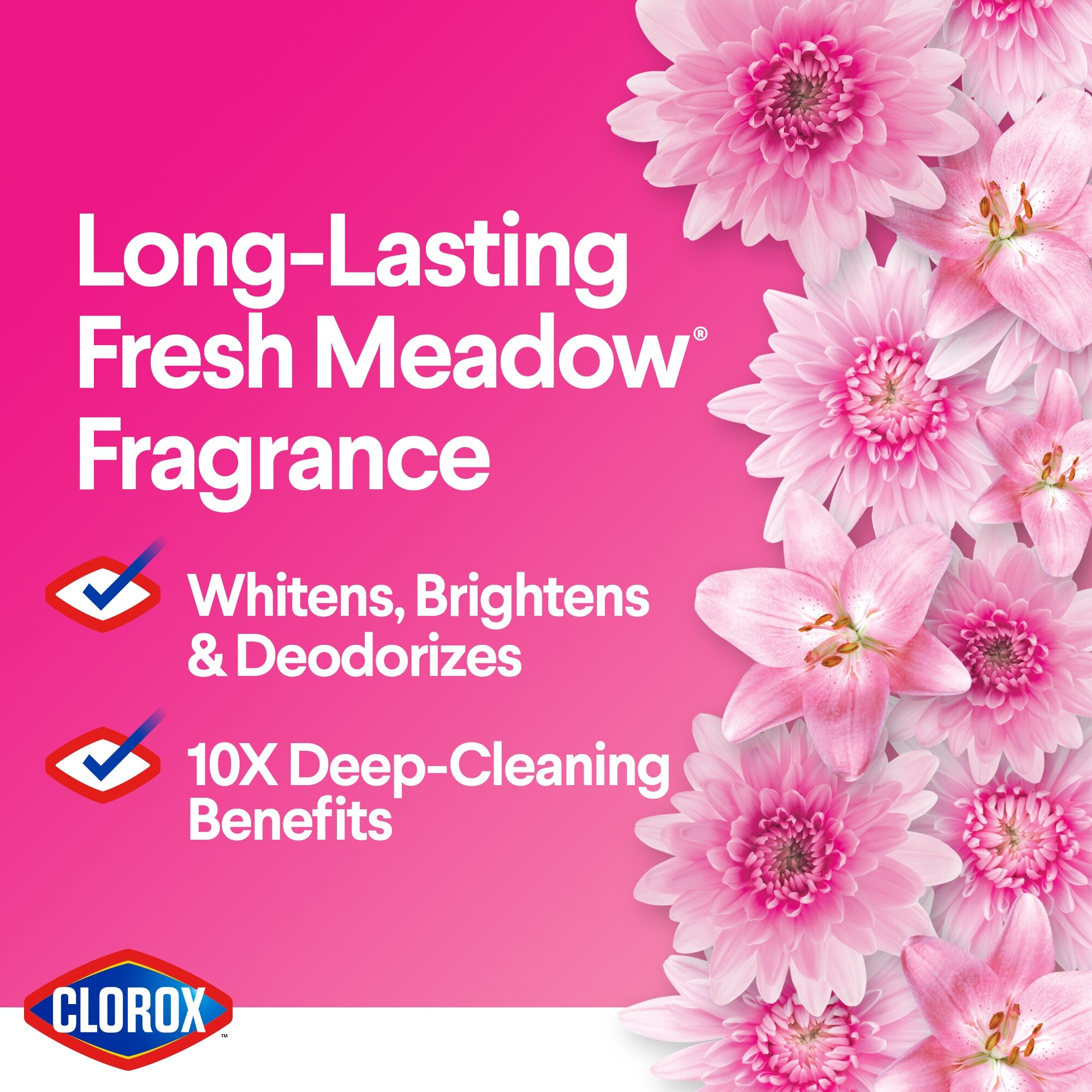 Clorox 4460031055 bleach - View #4