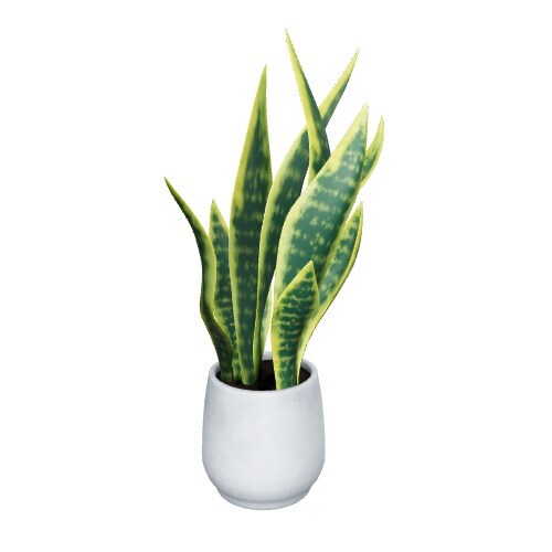 Three-dimensional representation of the product