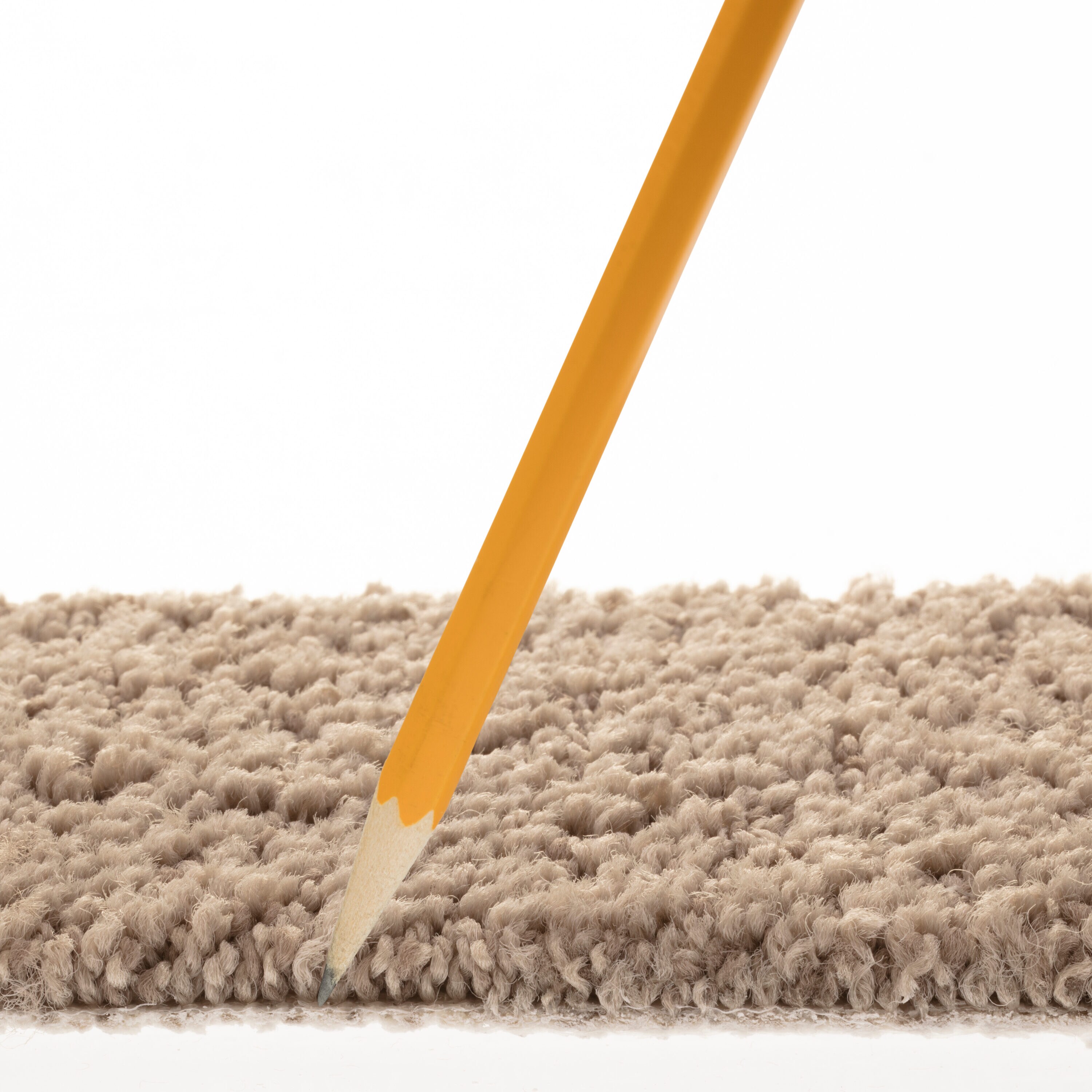 STAINMASTER PetProtect 7L884 - 700 - SAMP Carpet-Samples - View #7
