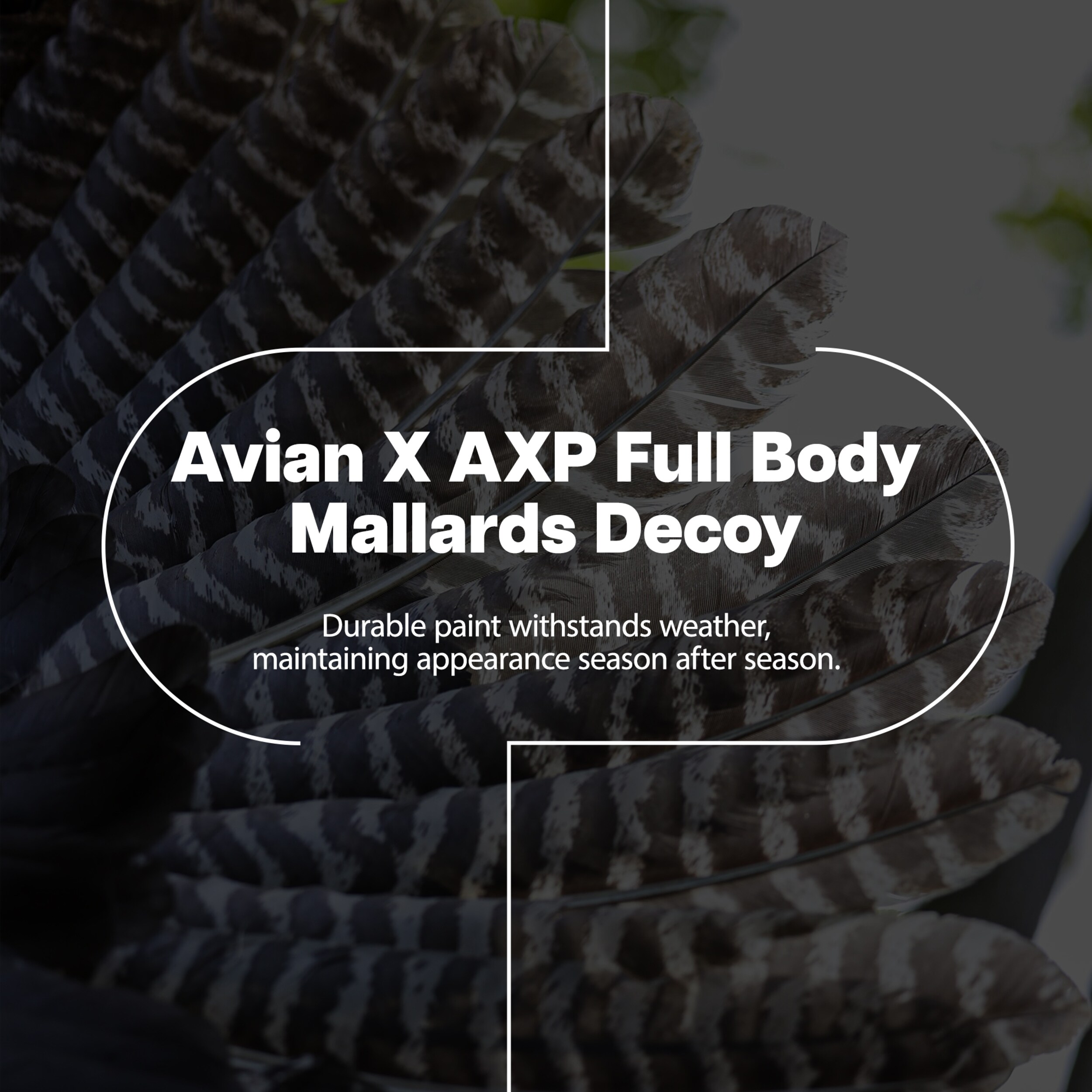  Avian X 408531 Hunting-Equipment - View #2