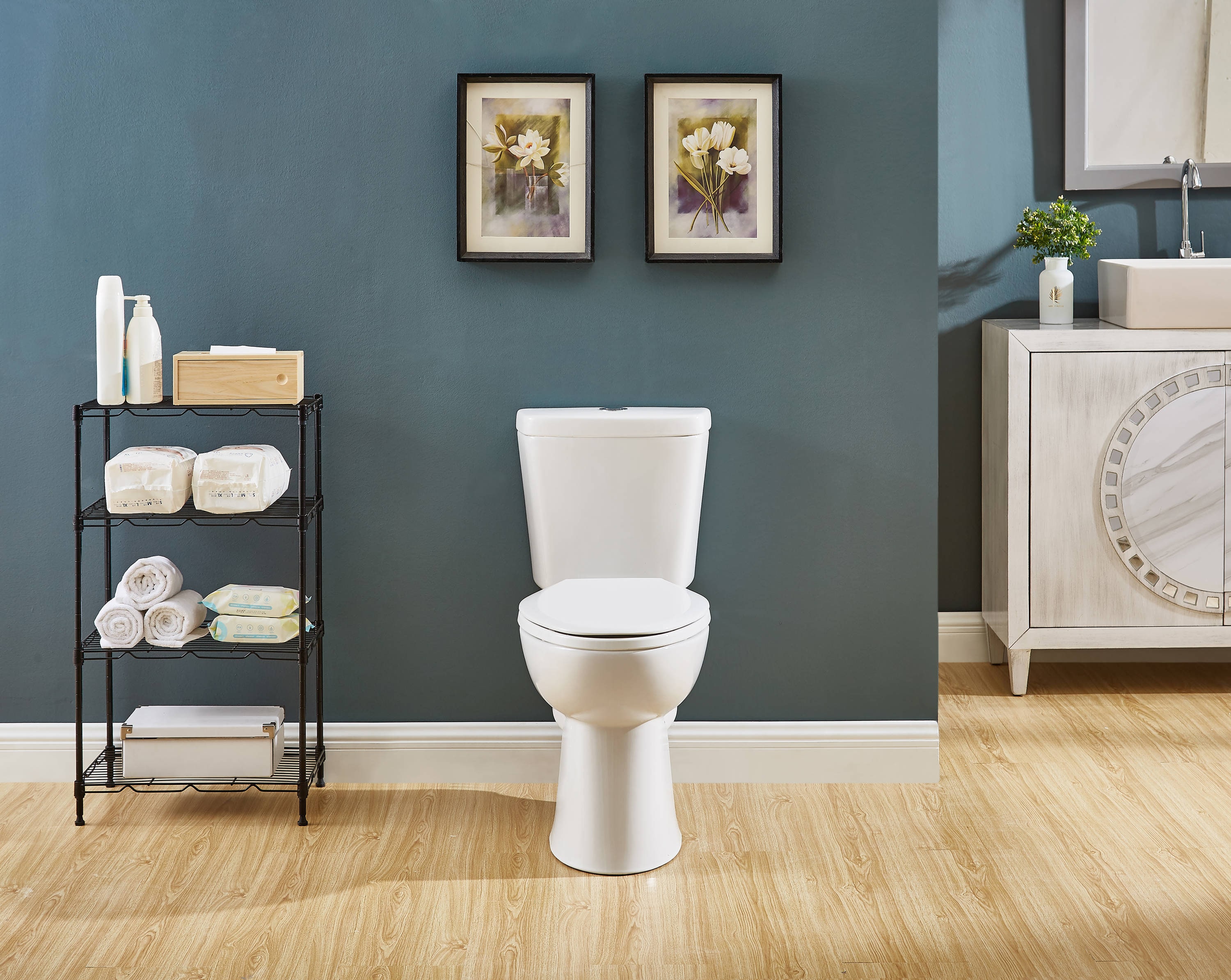Project Source MT-20204P toilets - View #10