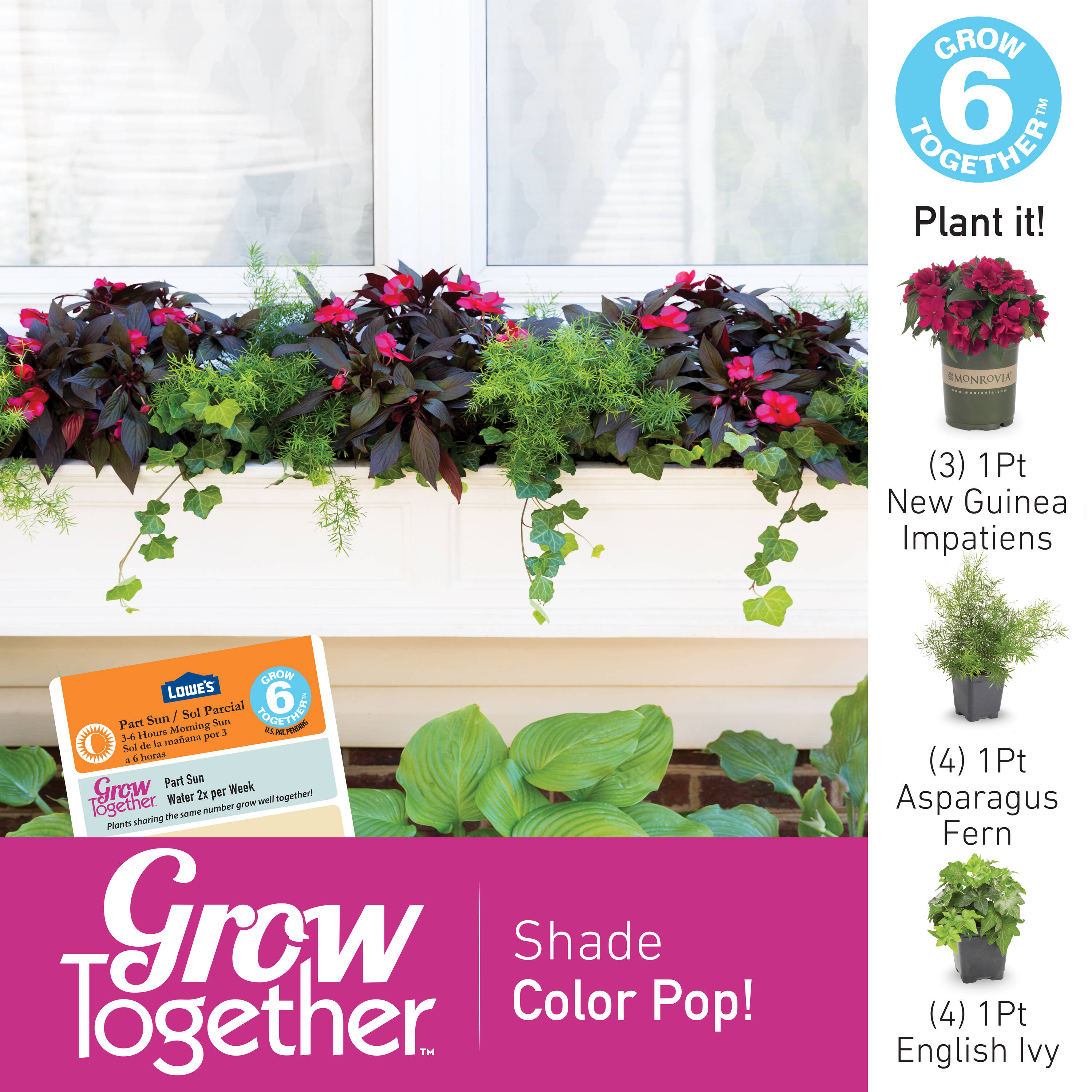 Metrolina Greenhouses 78822 annuals - View #5
