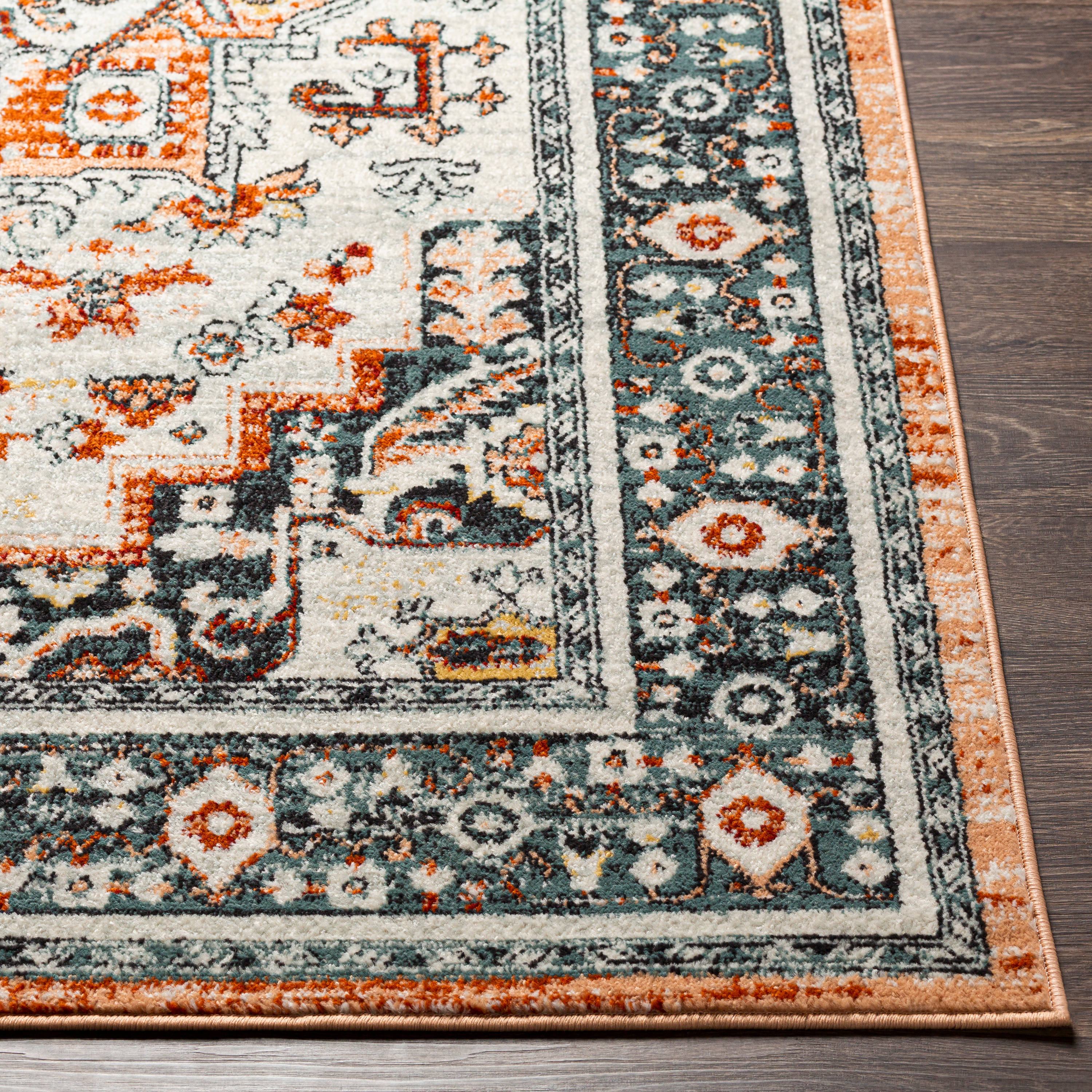 Artistic Weavers TVZ2346-71010 rugs - View #3