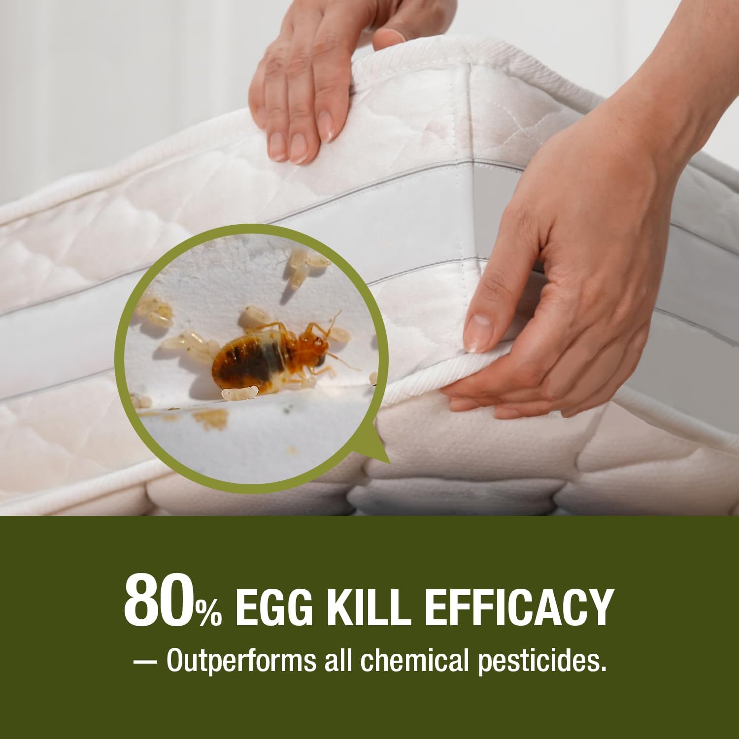EcoVenger EB1BBK001GLWS pesticides - View #3