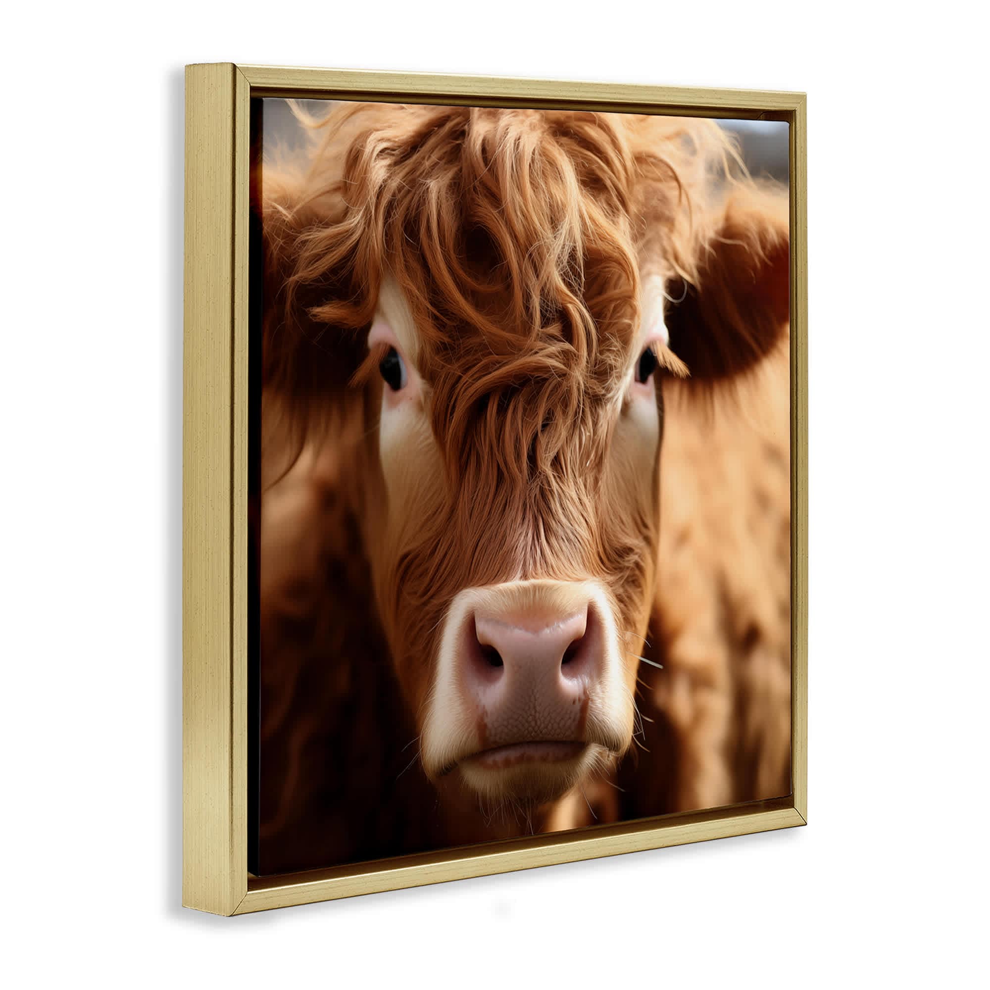 Stupell Industries Close Up Furry Cow Portrait Gold Framed Floater ...