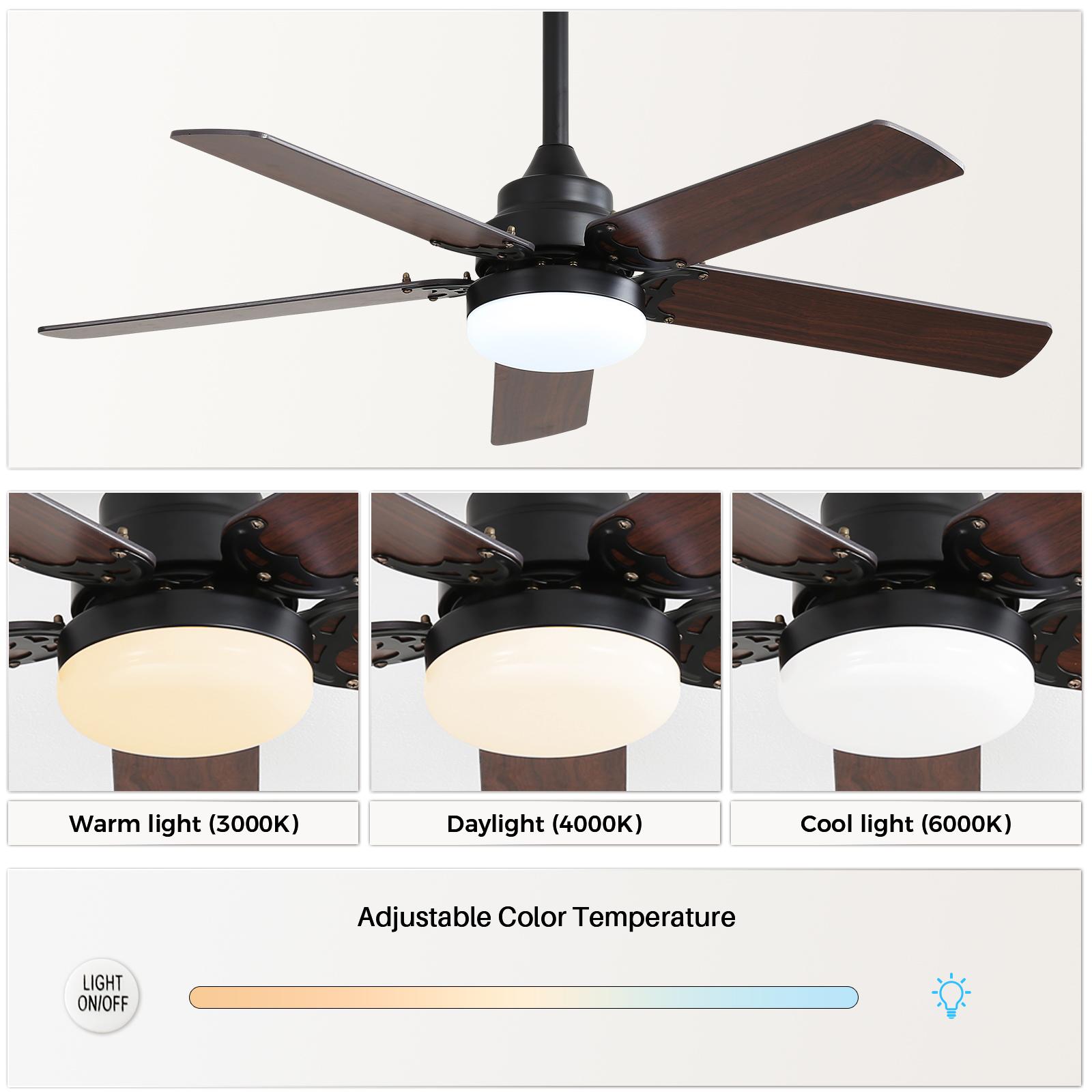 Bayfeve BFKS-45919-CF Ceiling-Fans - View #8