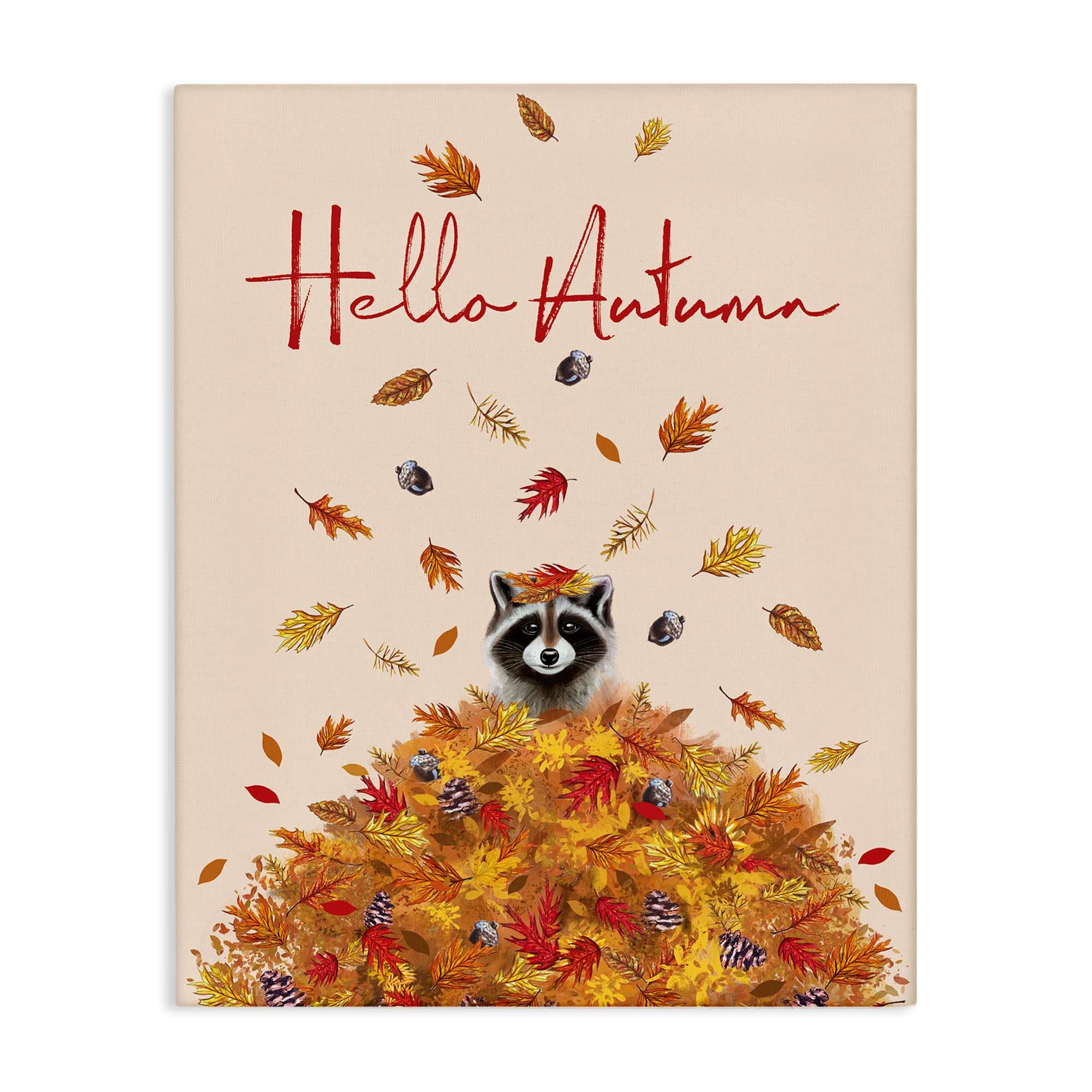 Stupell Industries BT-571-CN-36X48 Hello Autumn Raccoon Canvas design by Elizabeth Tyndall