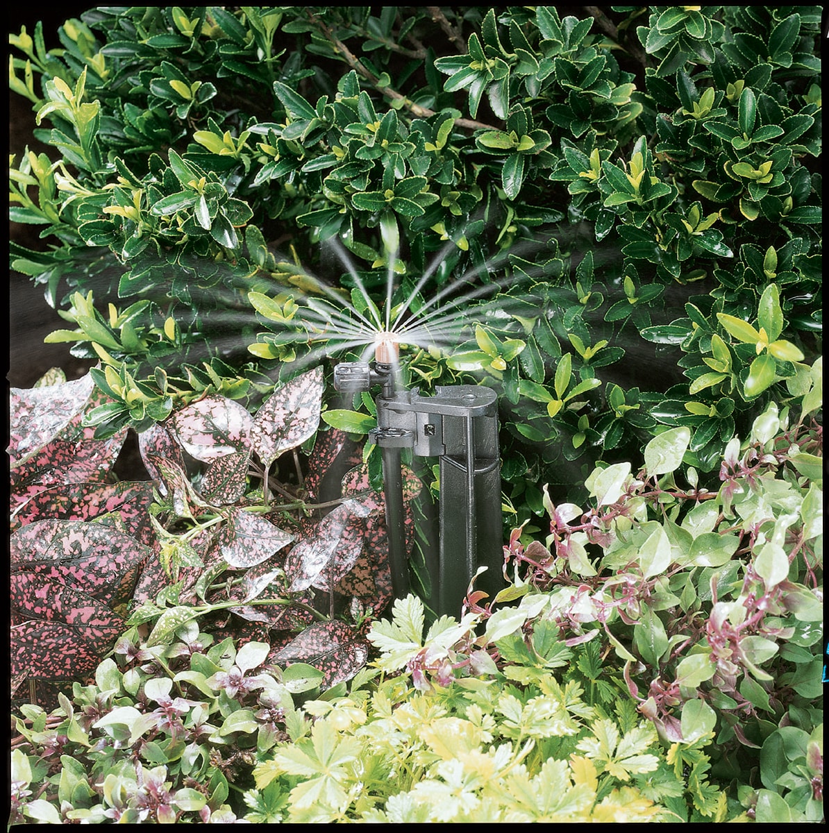 Orbit Spot Drip Irrigation Micro Sprinkler 29 gph