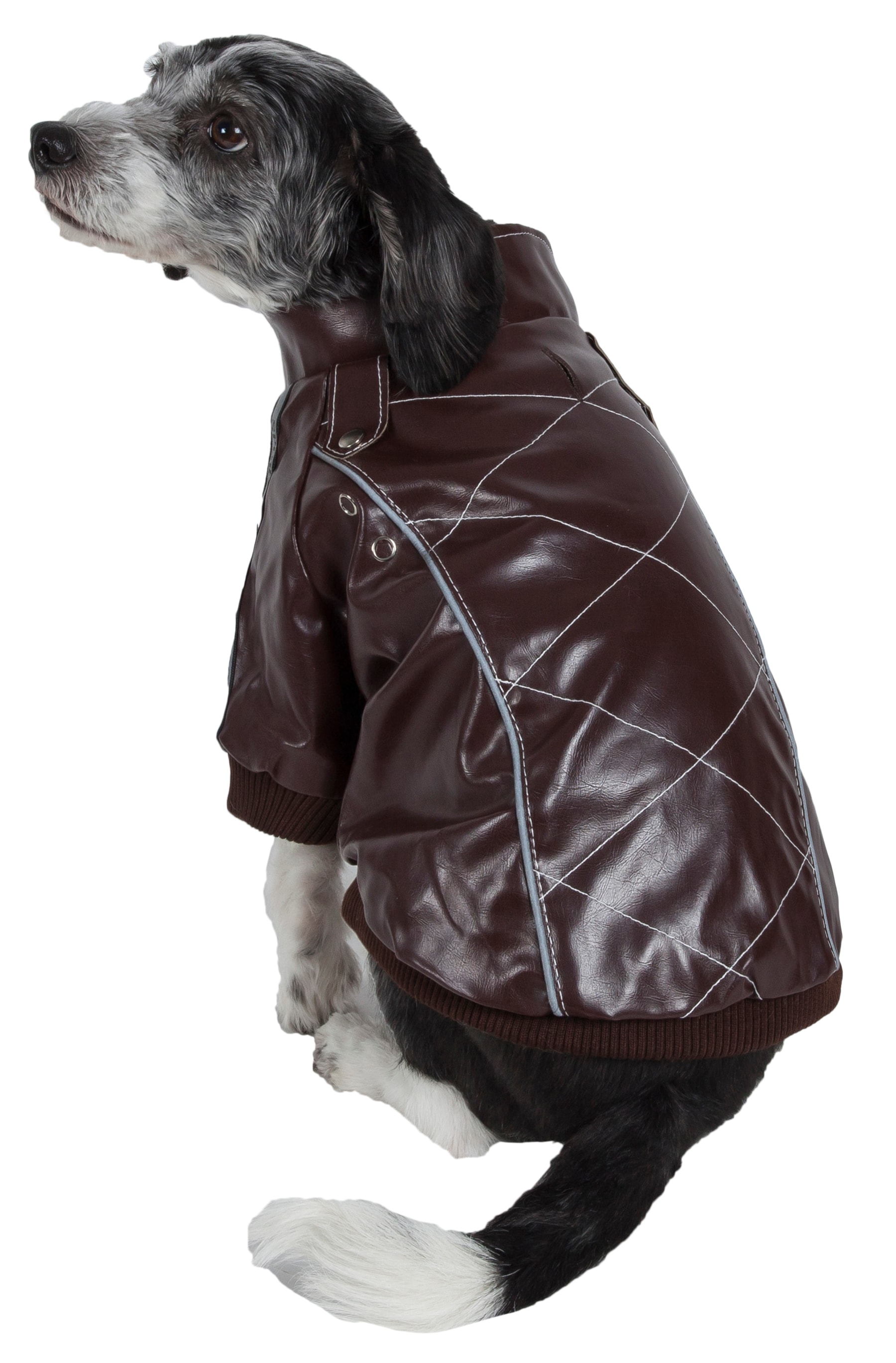 Pet Life 28BKMD Dog-Apparel - View #3