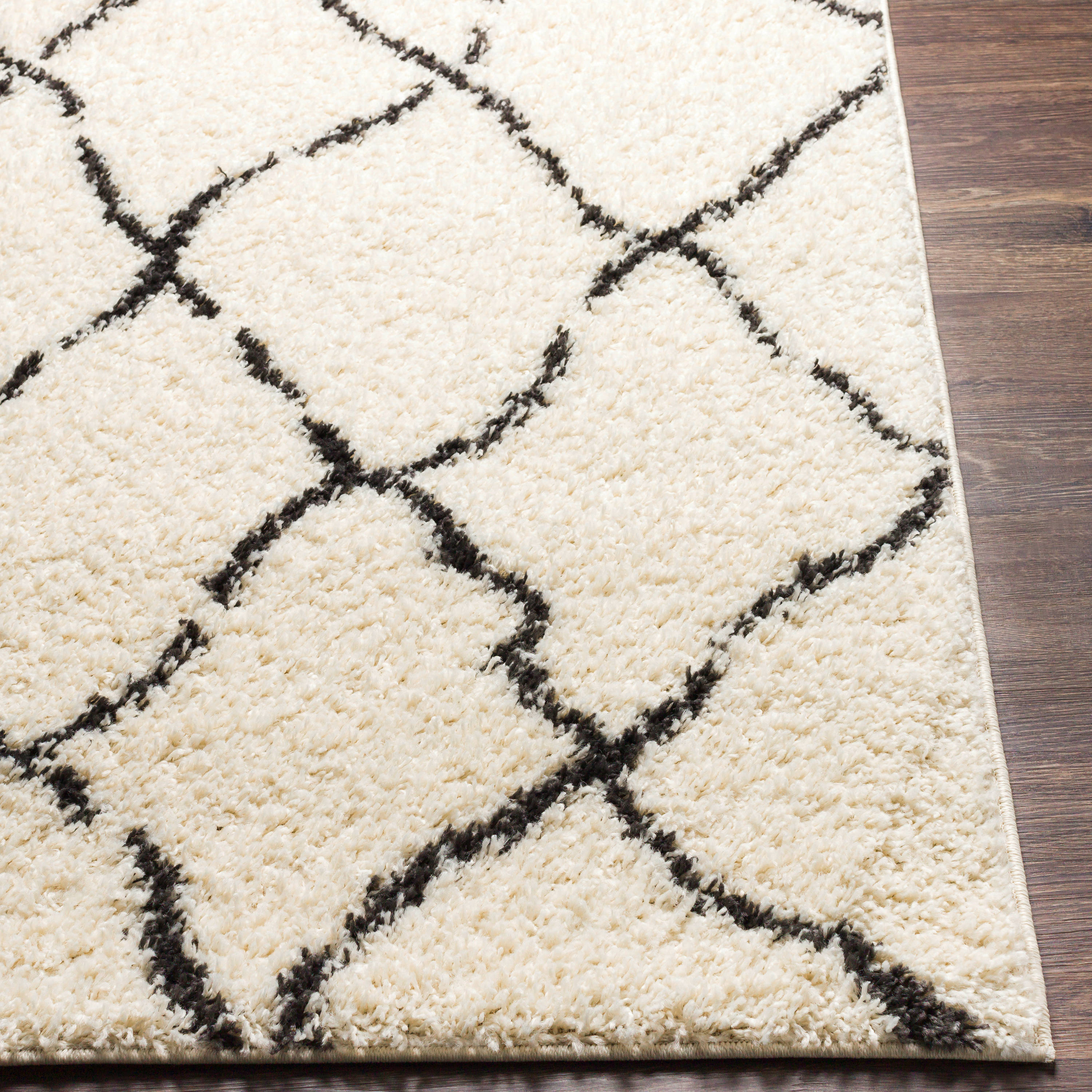 Surya BSH2312-2773 rugs - View #3