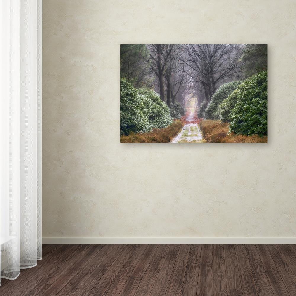 Trademark Fine Art ALI1836-C3047GG Wall-Art - View #3