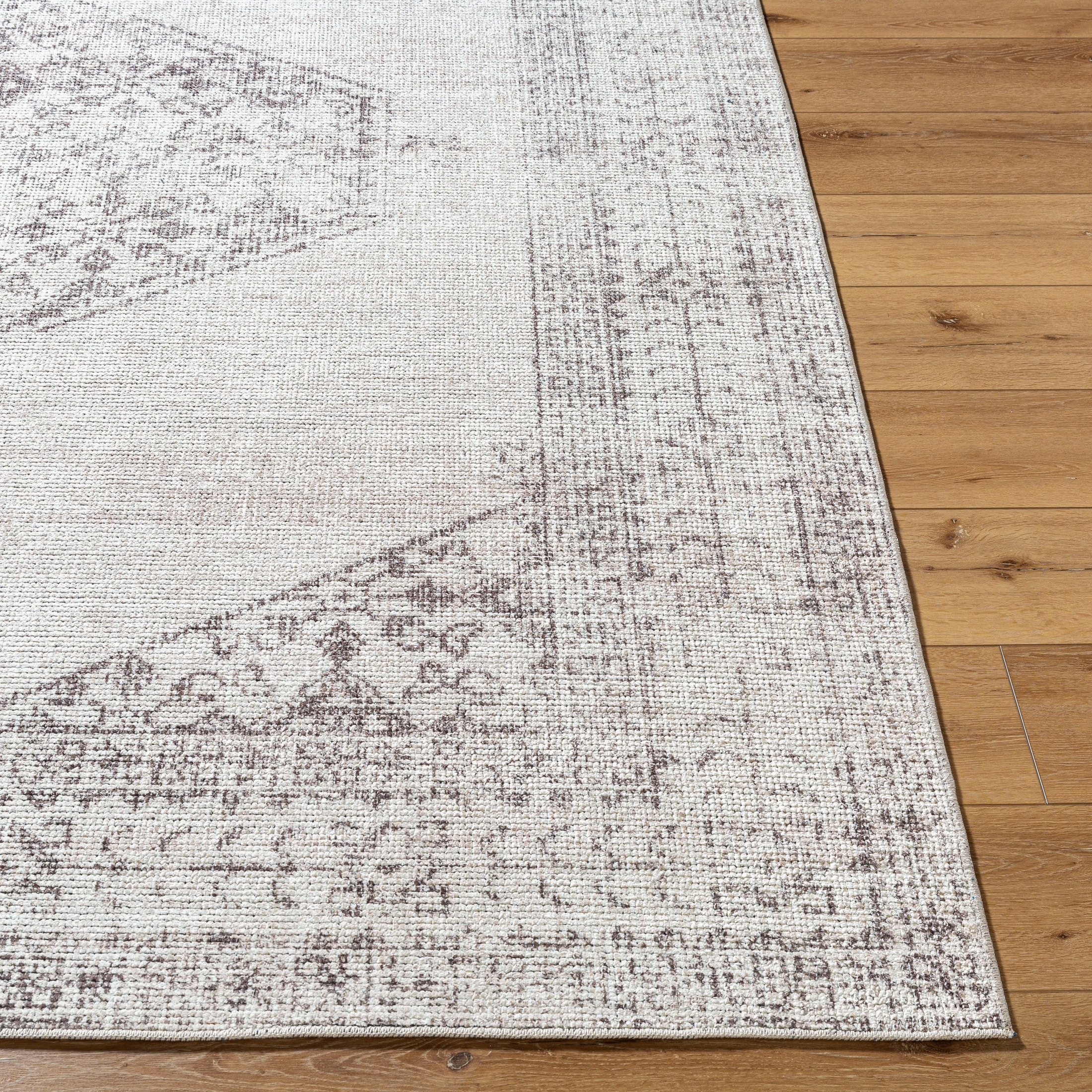 Livabliss PNWOL2300-679 rugs - View #3