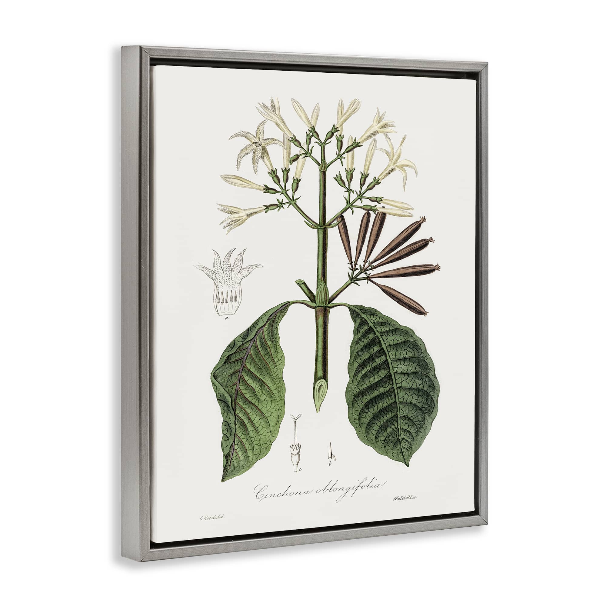 Stupell Industries BS-208-FFL-16X20 Wall-Art - View #2