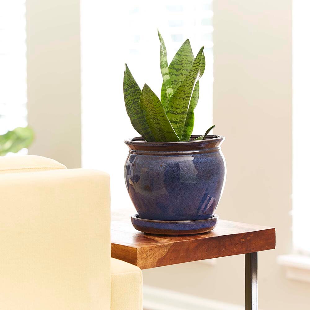 Southern Patio CRM-031086P2 Planter-Window-Box - View #3