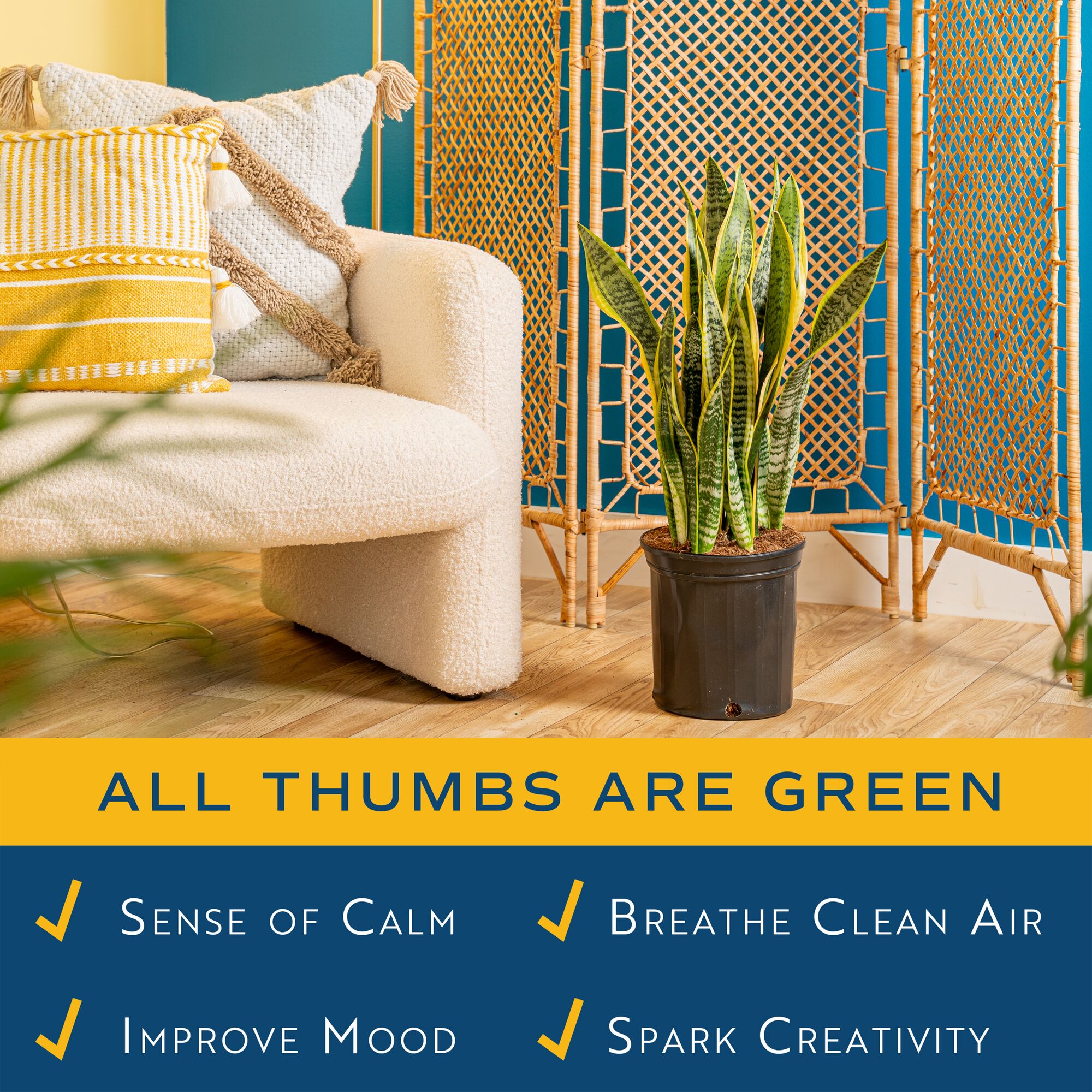 Lowe's 471437 hseplants - View #3