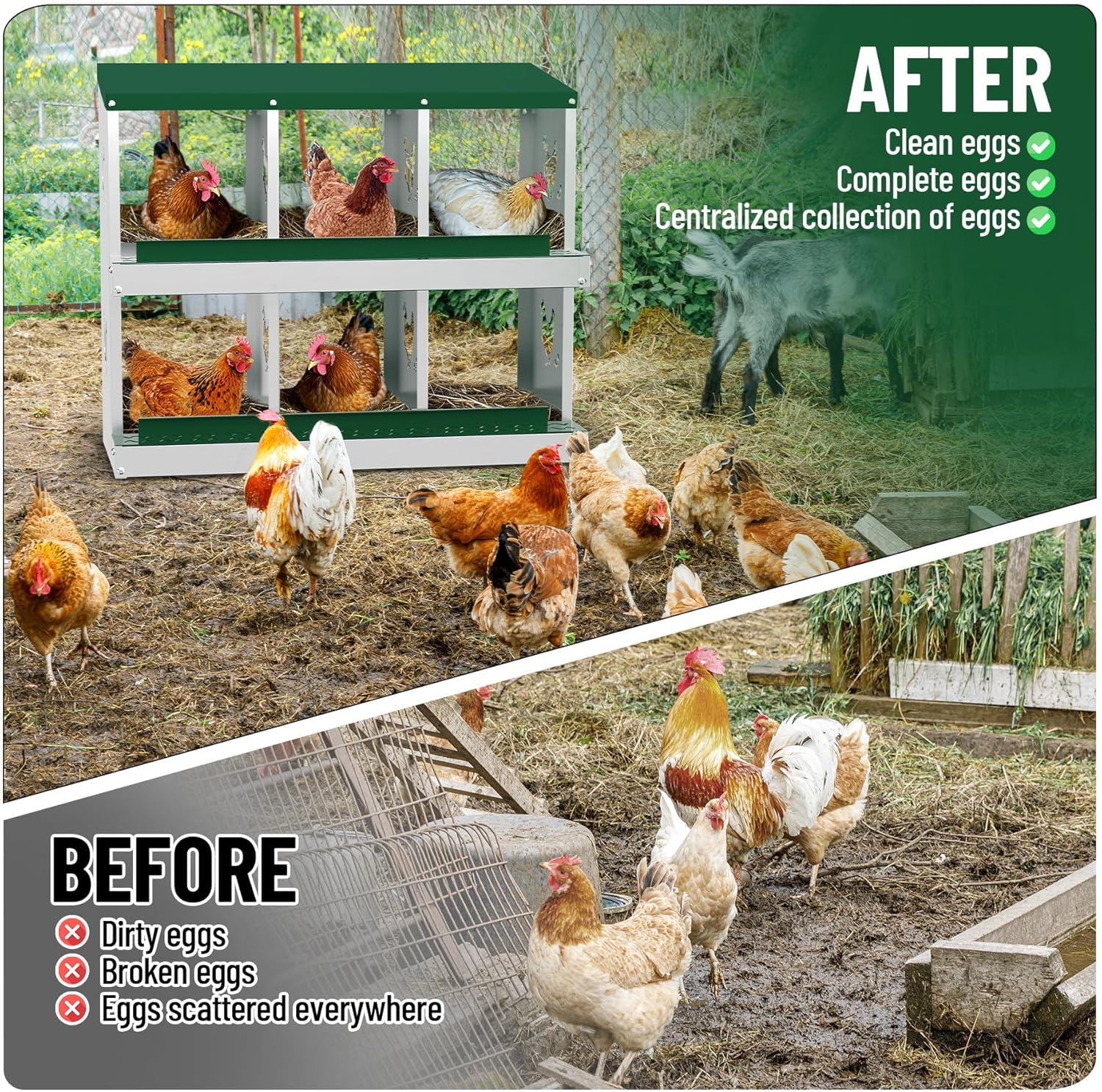 Qeetex WLS-PHO-348SBN54 Chicken-Coops-Rabbit-Hutches - View #6