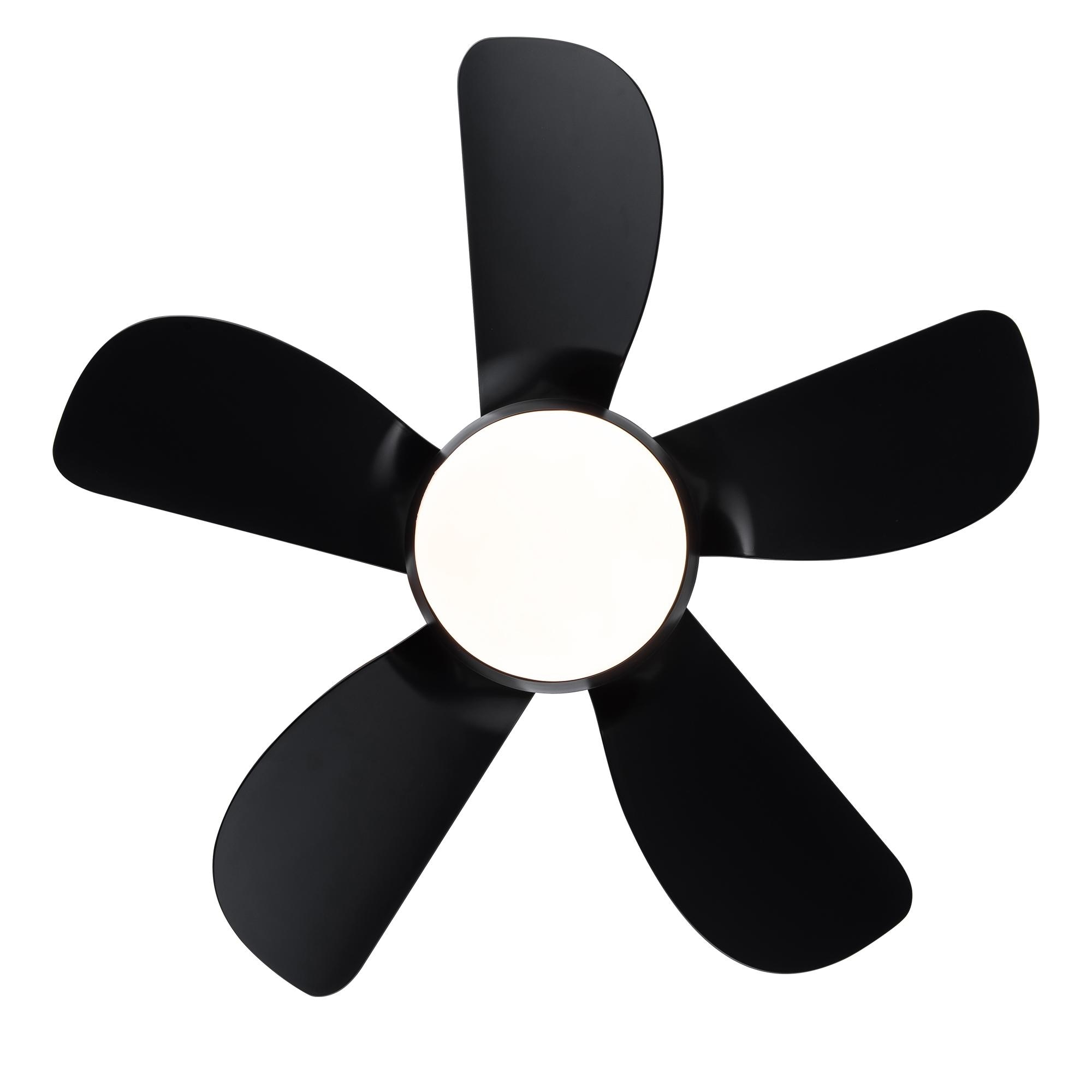 Bayfeve BFYH-5957 Ceiling-Fans - View #4