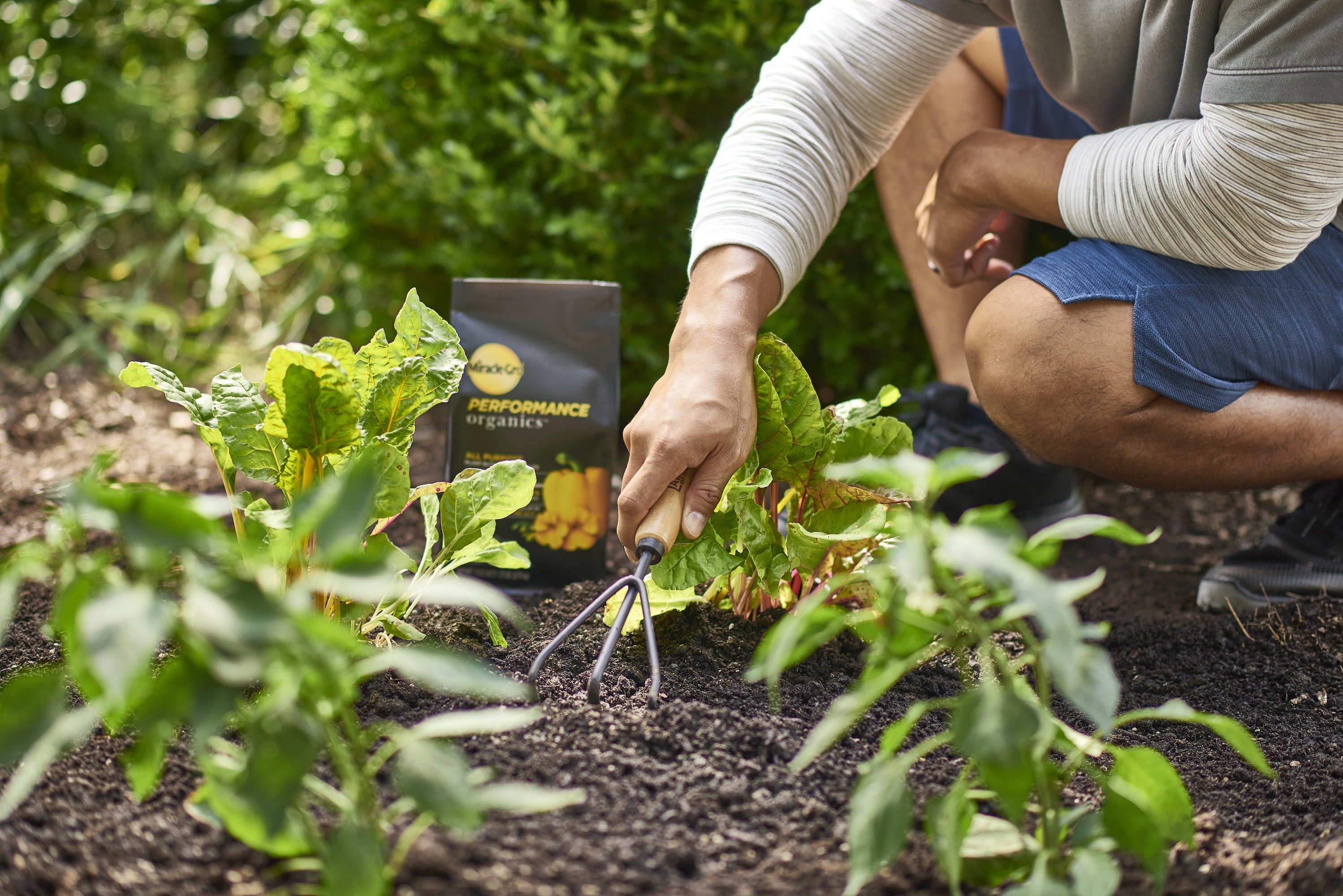 Miracle-Gro 3003601 Plant-Food - View #3