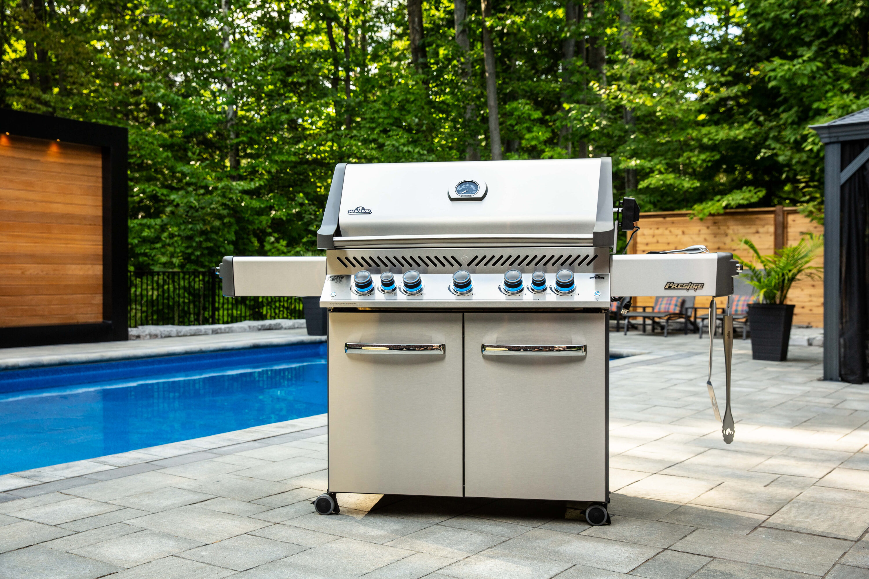 P665RSIBPSS Gas-Grill - View #3
