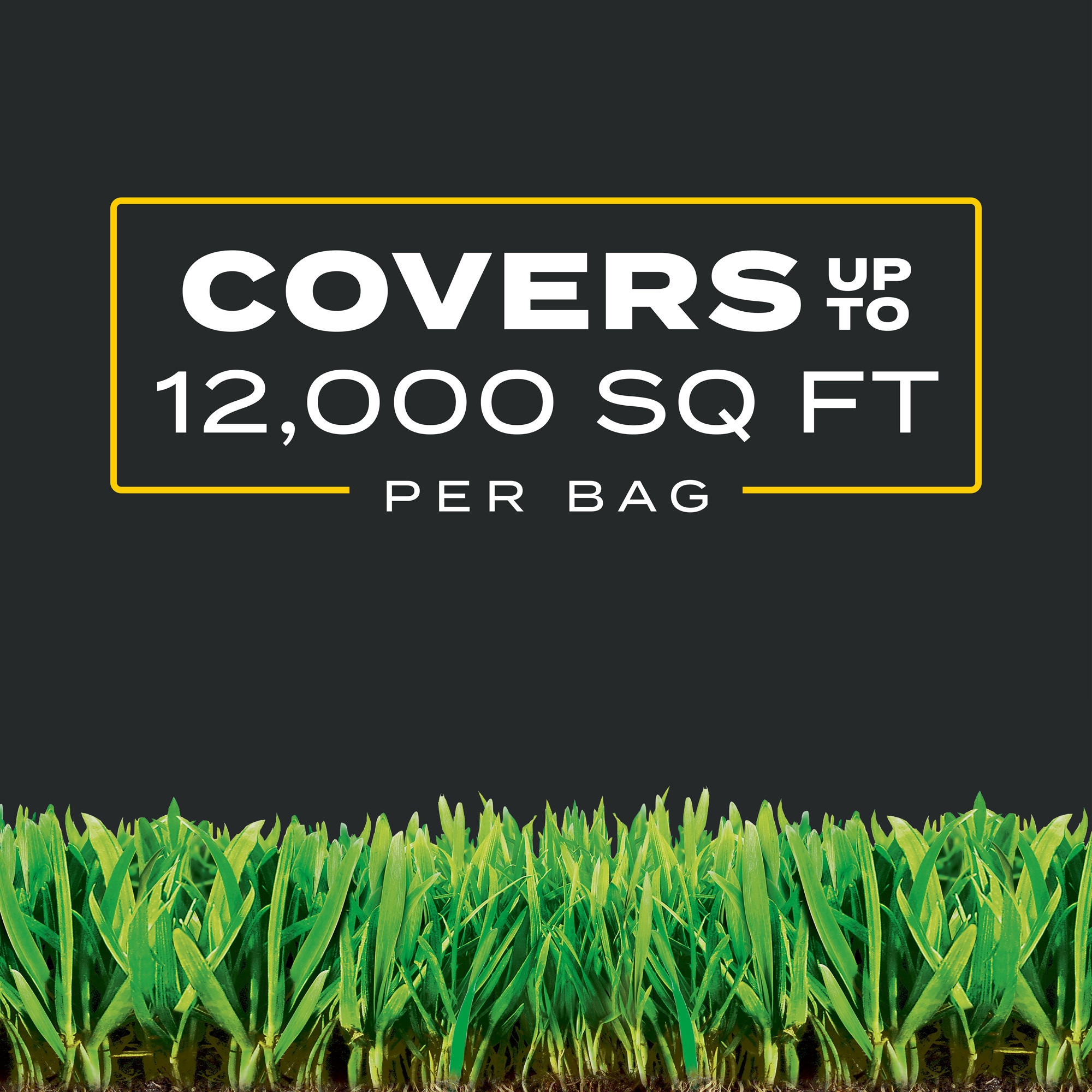 Scotts 26019 Lawn-Fertilizer - View #10
