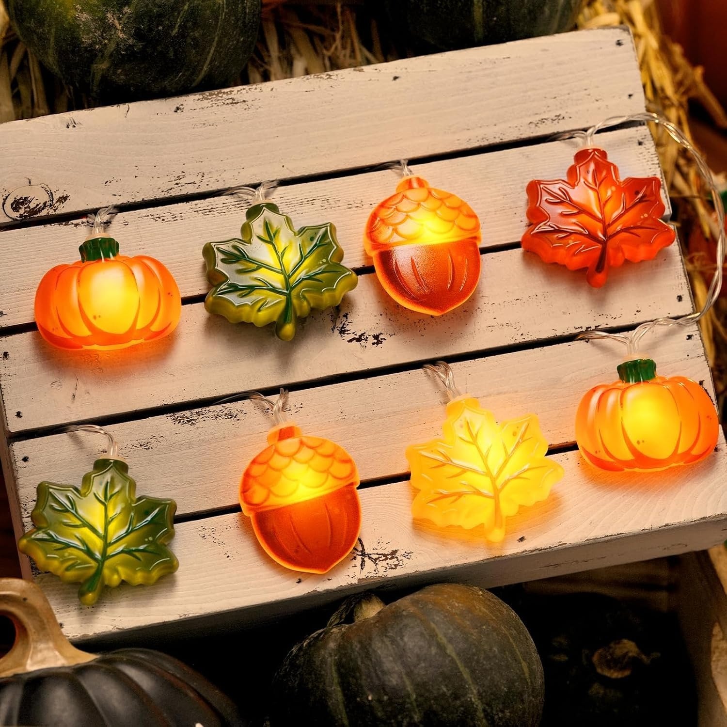 Sggvecsy 3038325900375 Indoor-Thanksgiving-Decor - View #3