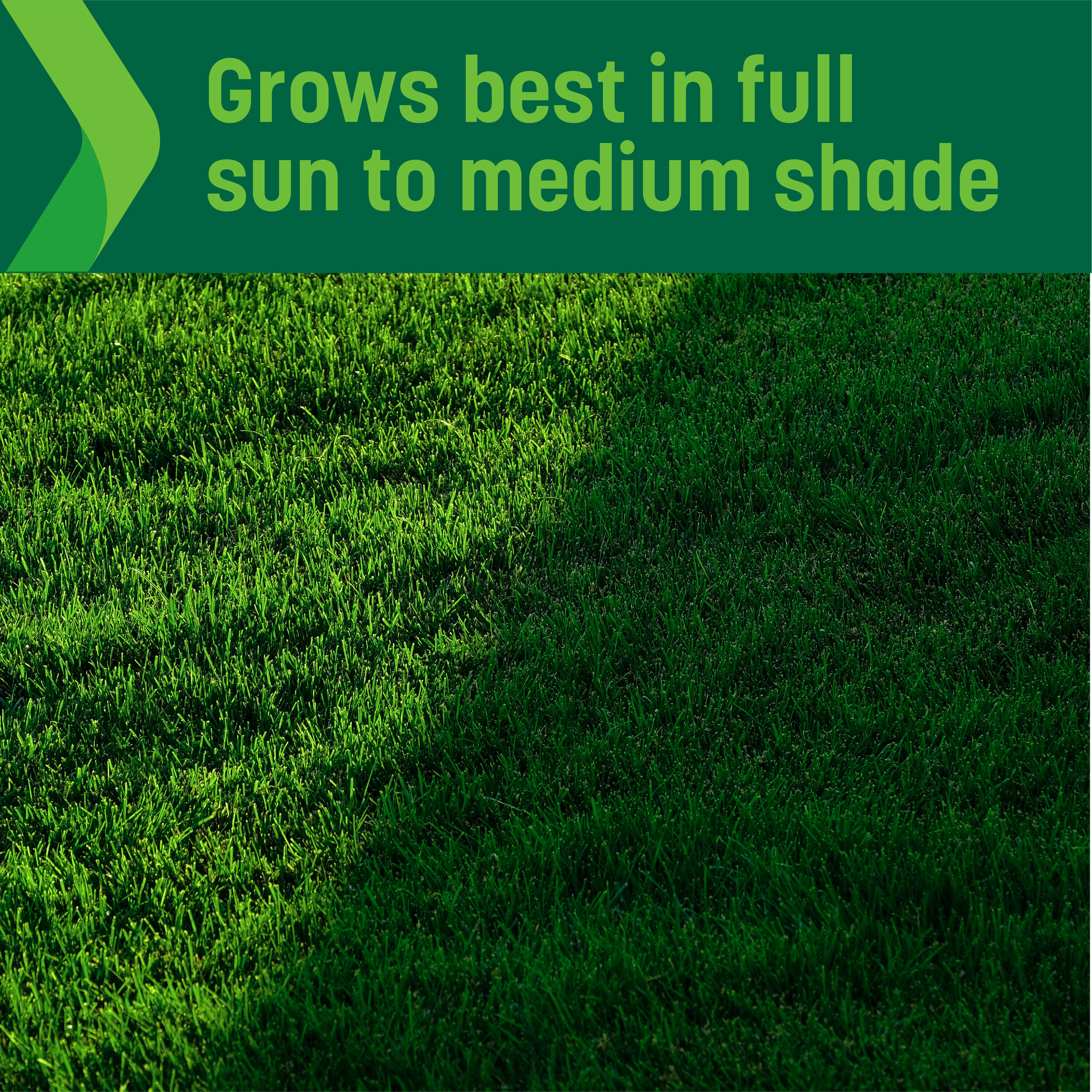 Sta-Green SG-SS-2.4 Grass-Seed - View #4