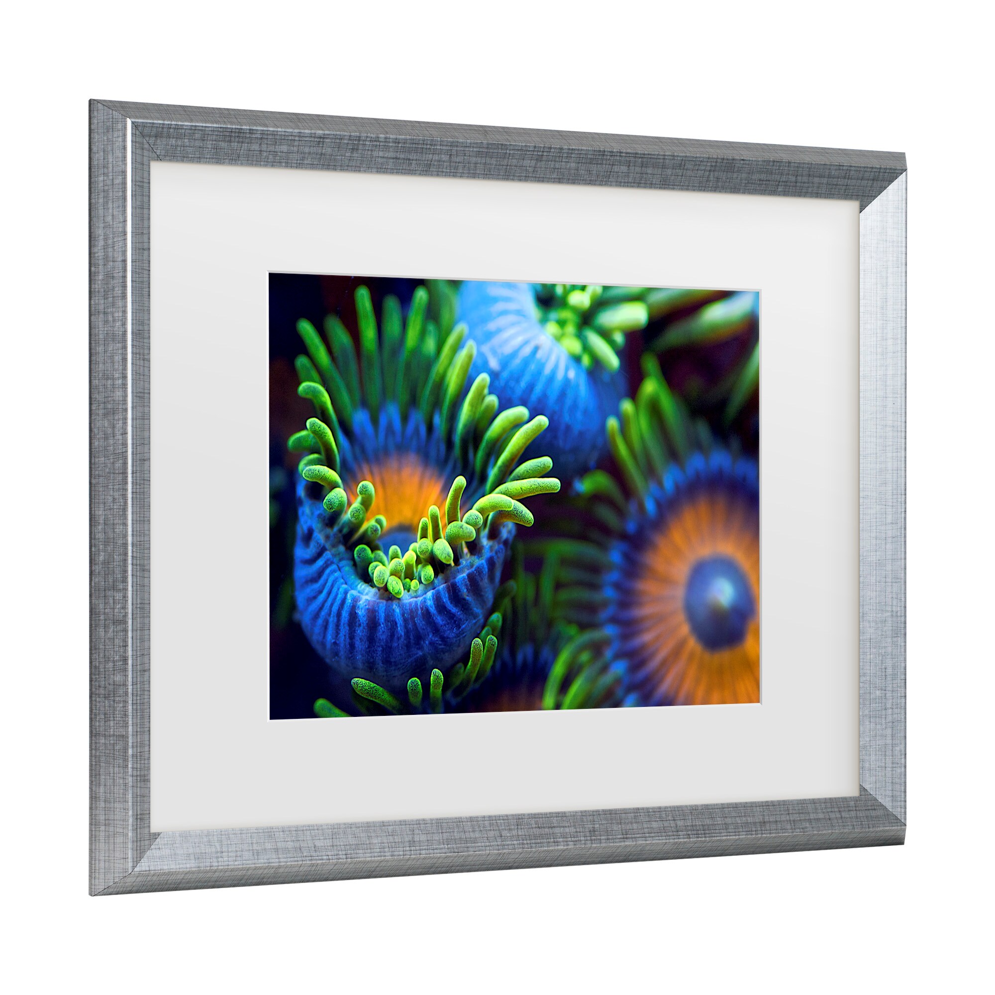 Trademark Fine Art 1X10263-S1114MF Wall-Art - View #3