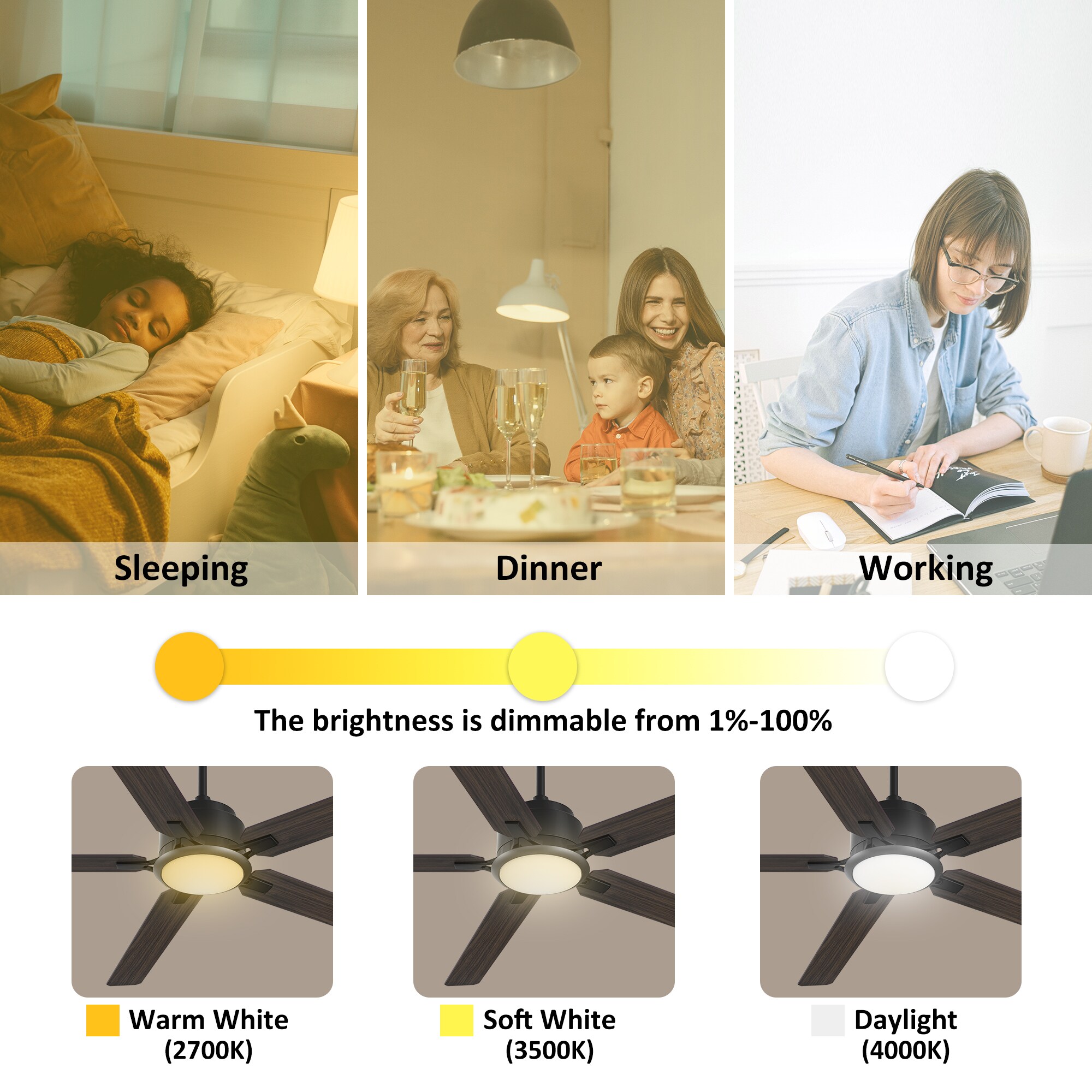 CARRO USA LYDC605J-L11-B5-1 Ceiling-Fans - View #5