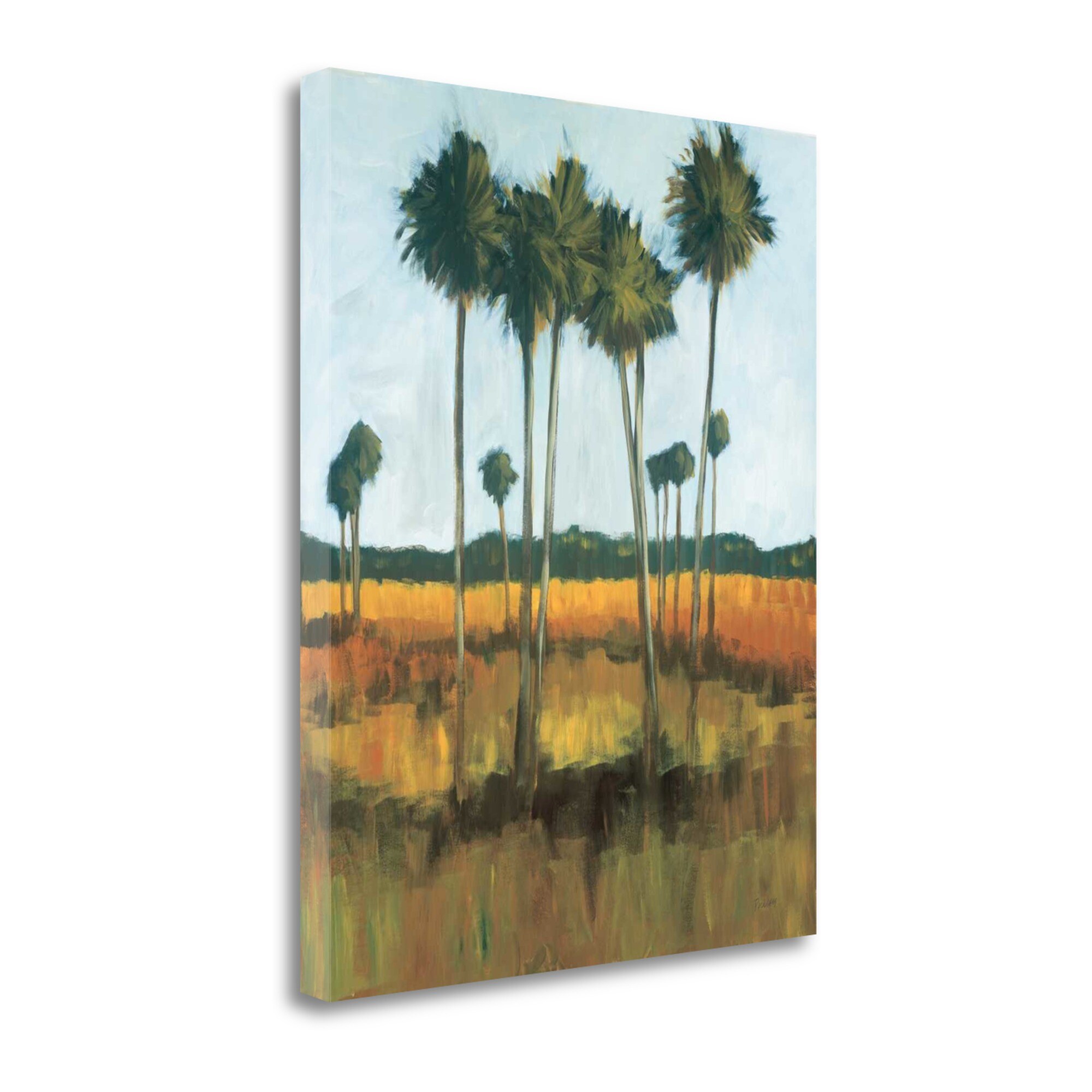 Tangletown Fine Art CAPMP107-2531C Tall Palms Ii Mark Pulliam 31-in H x 25-in W Landscape Print on Canvas