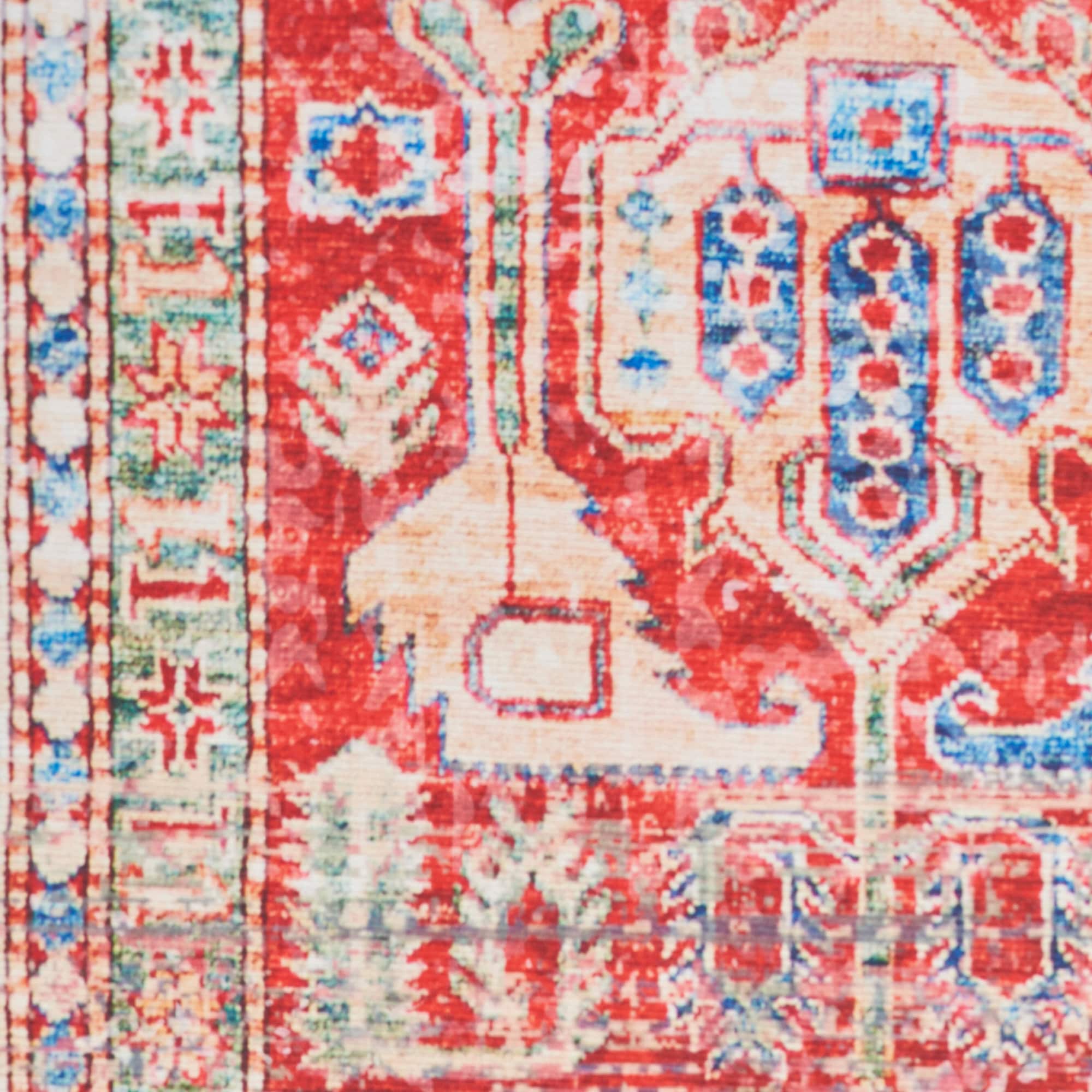 Nourison 099446899958 rugs - View #5
