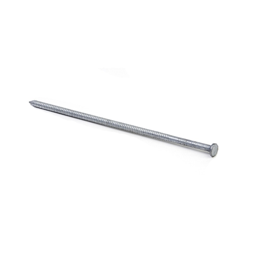 Grip Rite 6 In Hot Dipped Galvanized Ring Shank Pole Barn Nails 161