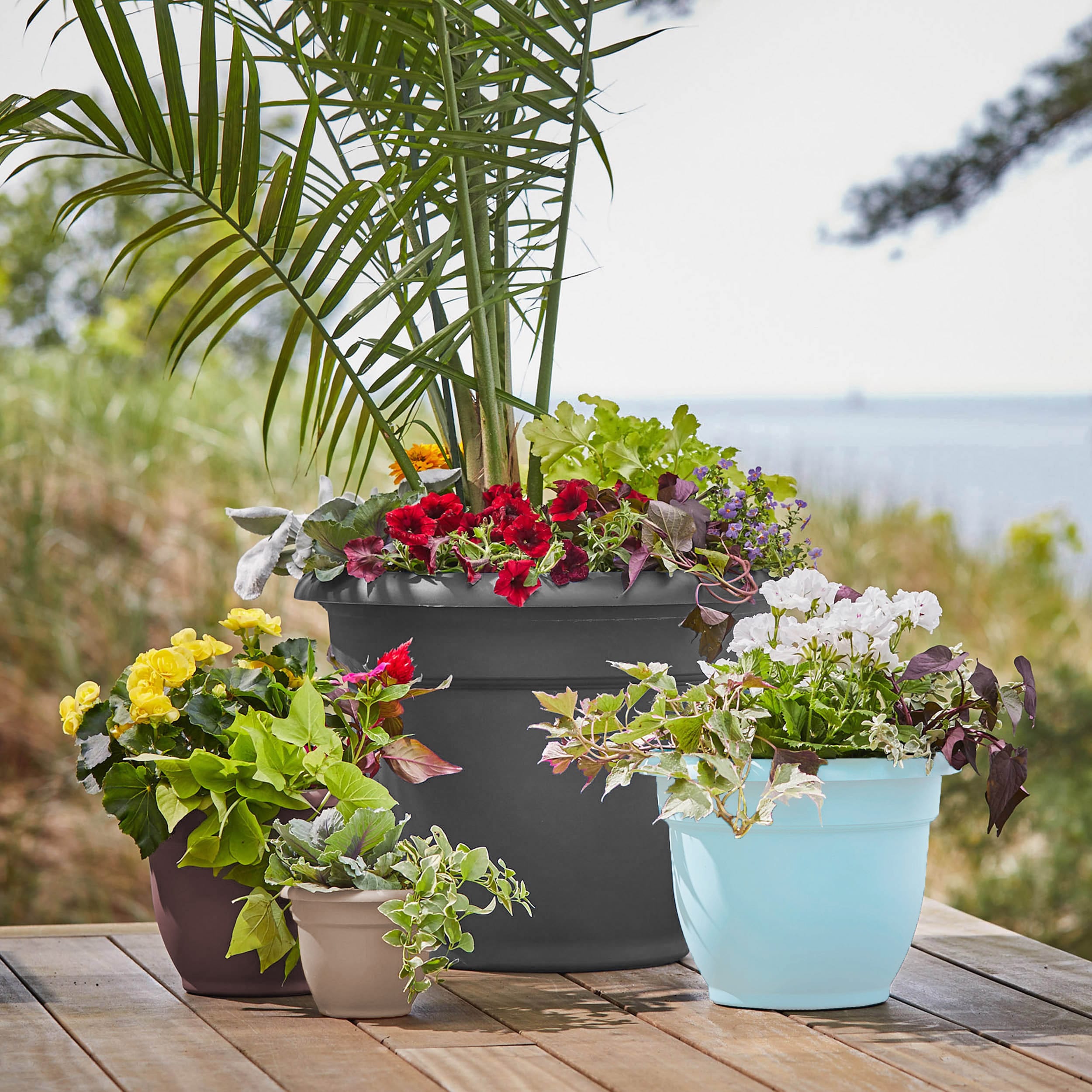 Bloem AP0837 Planter-Window-Box - View #12