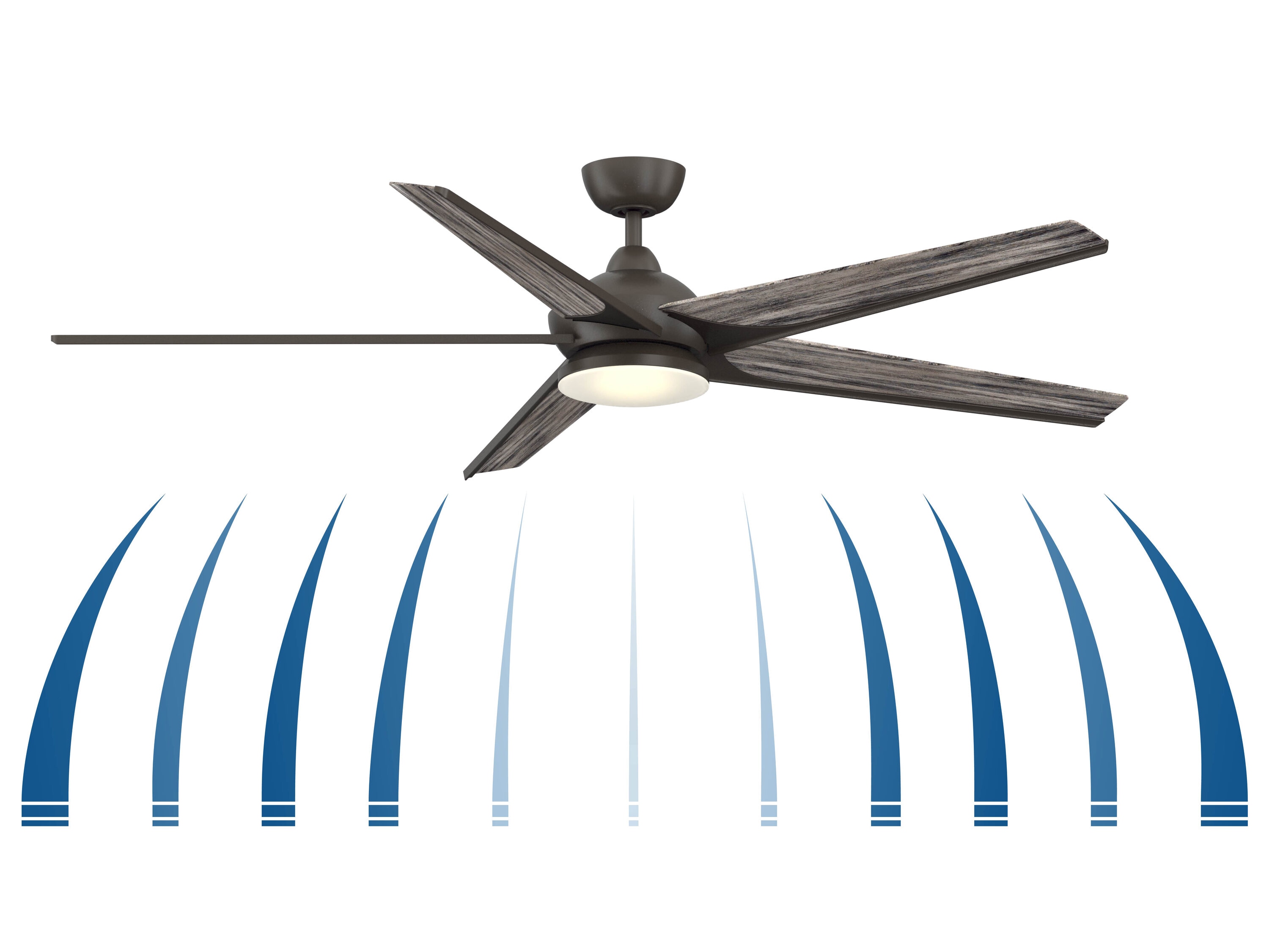 Fanimation FPD6236BGR Ceiling-Fans - View #6