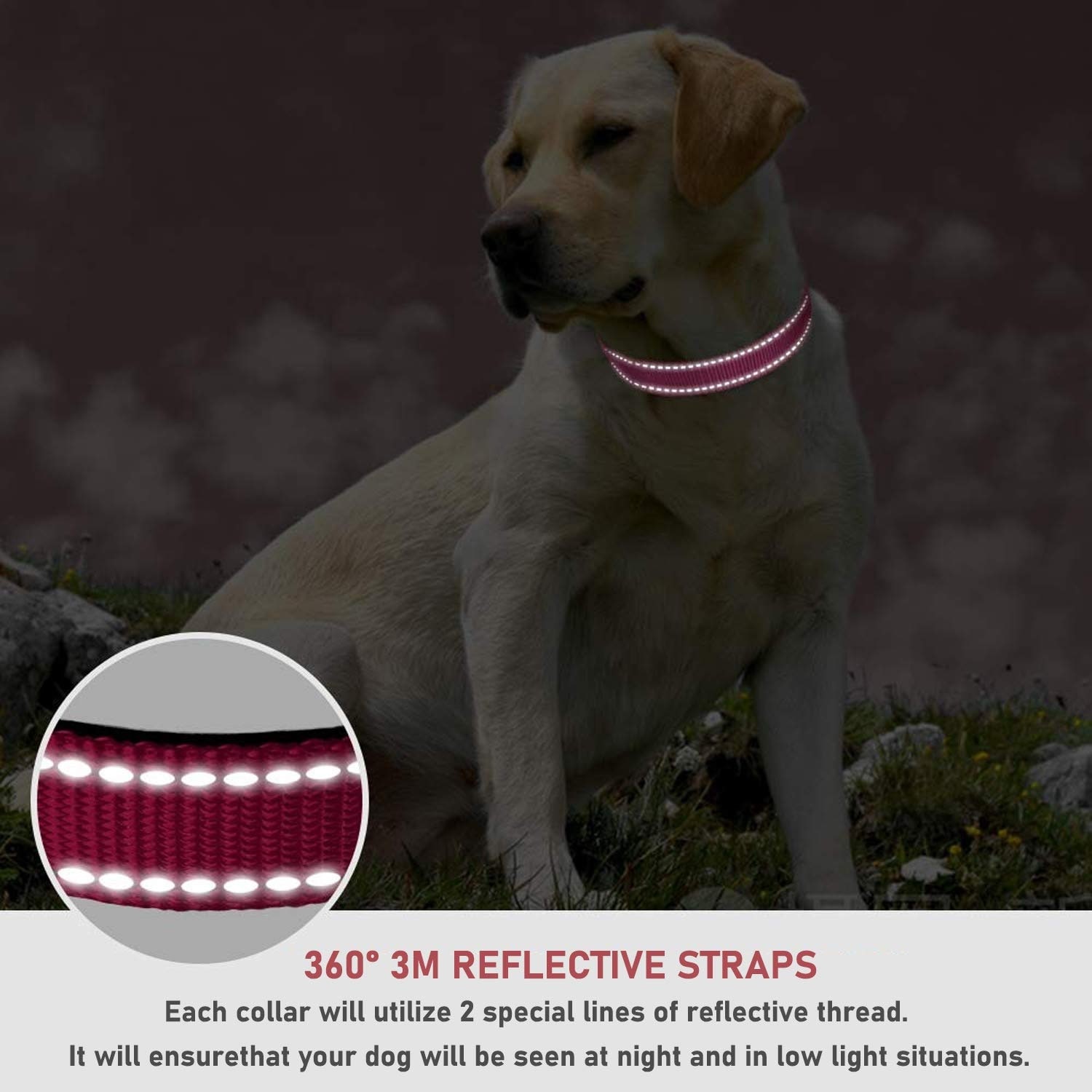 Adrinfly L05AD10097 Dog-Collars-Harnesses - View #4