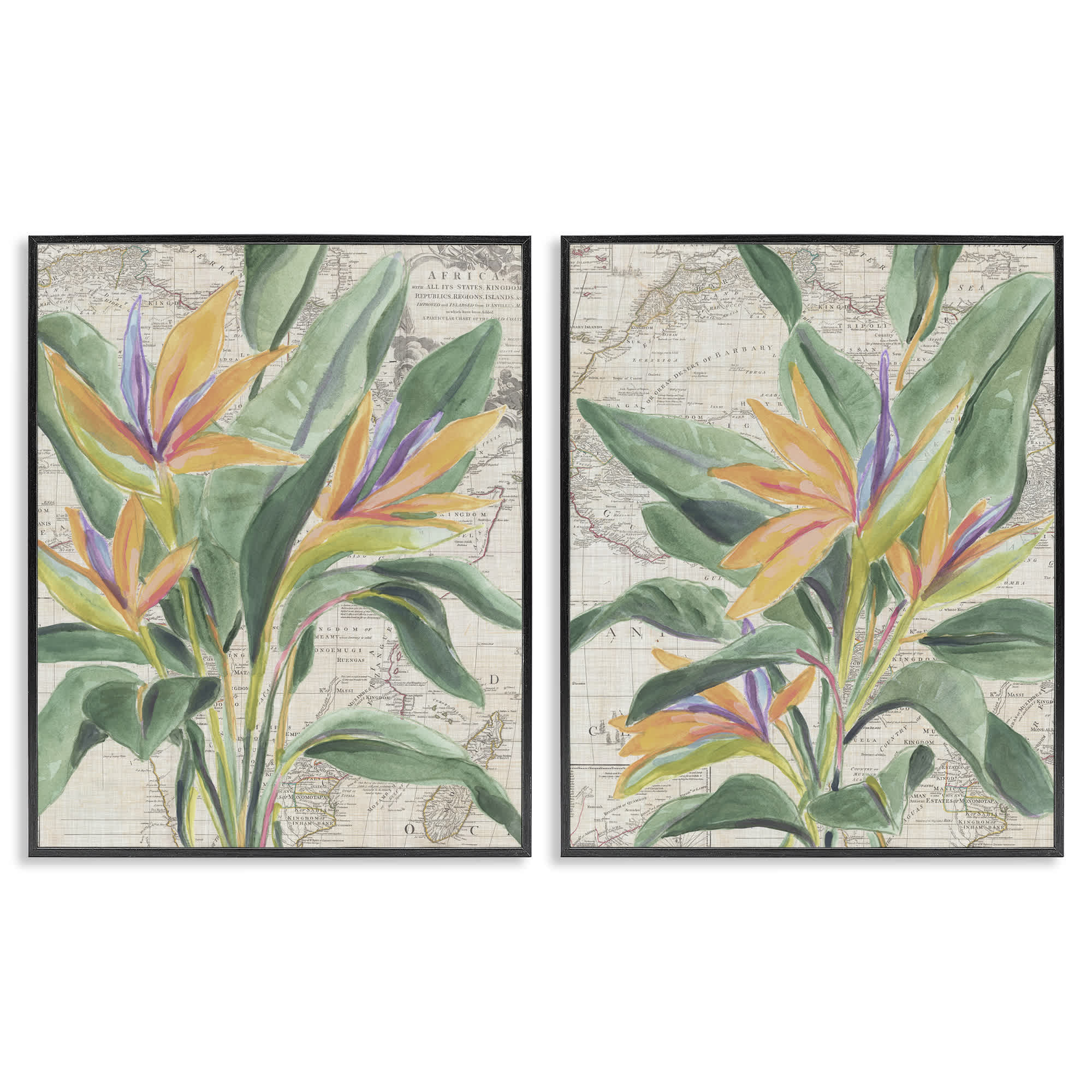 Stupell Industries B2-771-FR-2PC-11X14 Flowers over Vintage Map 2 Piece Black Framed Giclee Art Set By June Erica Vess 11 x 14