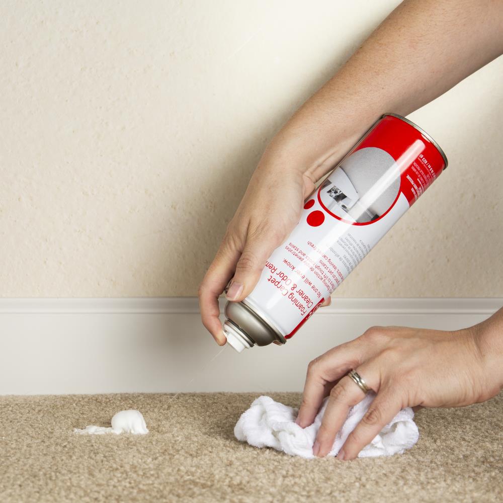 Shout Carpet Carpet Cleaning Foam, Fresh Scent - 22 oz