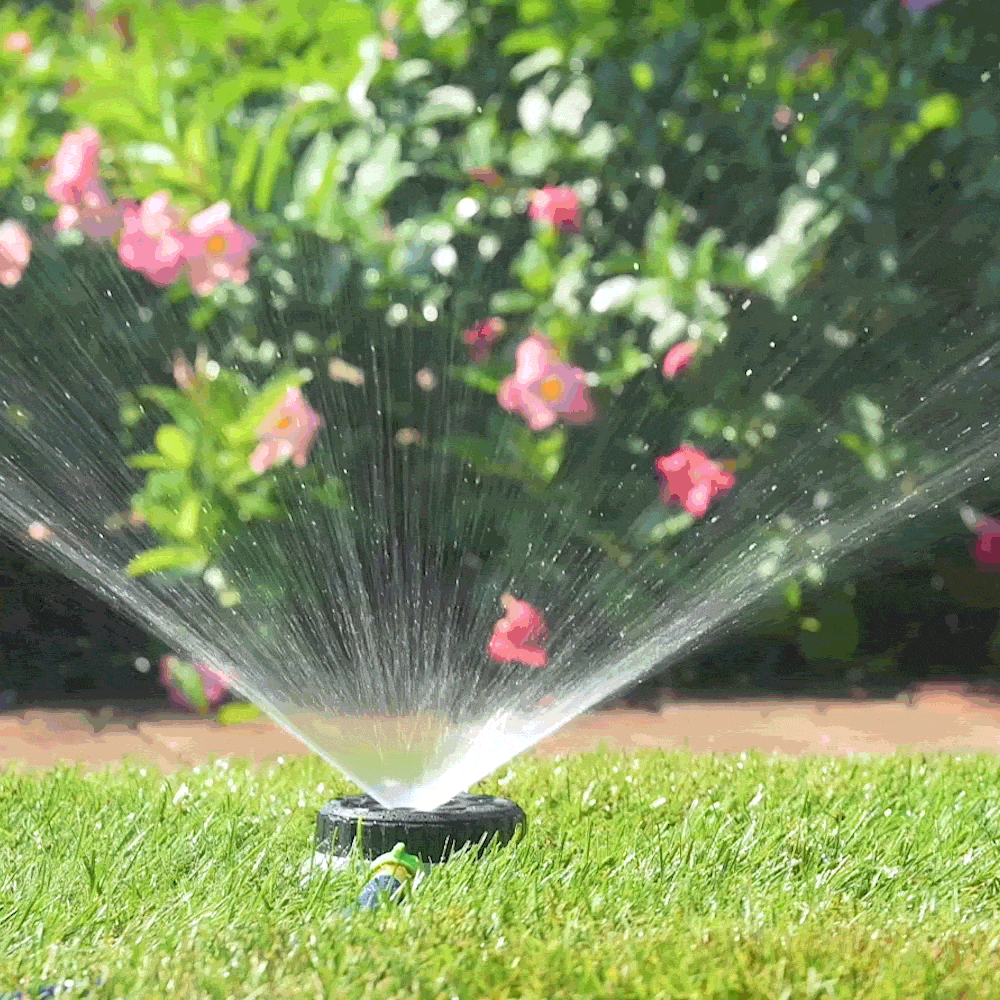 Ray Padula EC-SIST-S sprinklers - View #2