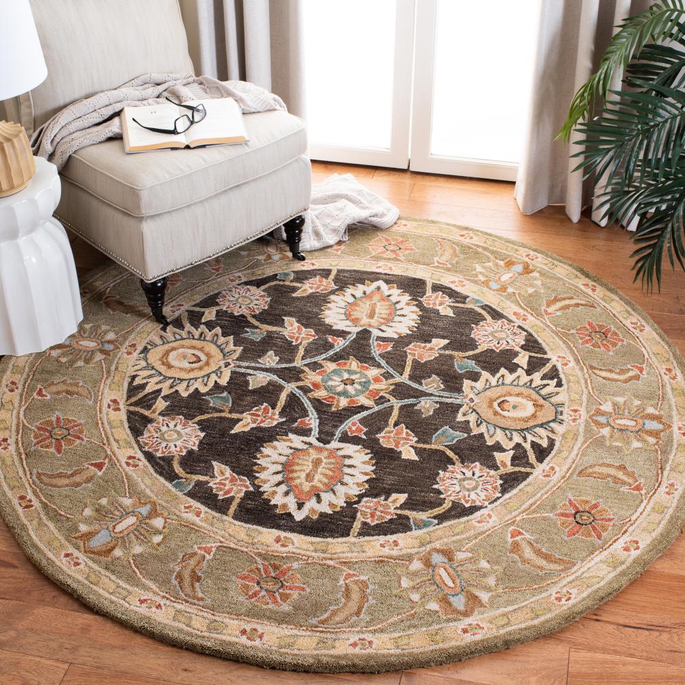 Safavieh AN561C-6R rugs - View #2