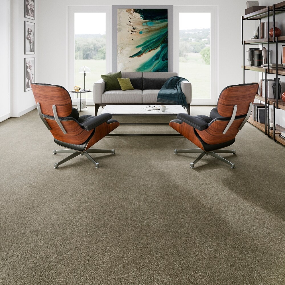 STAINMASTER PetProtect SS009-L016-0808 Carpet-Samples - View #5