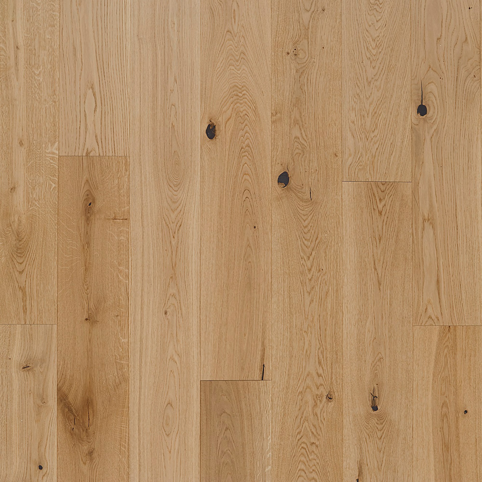 Hardwood Flooring Species European white oak