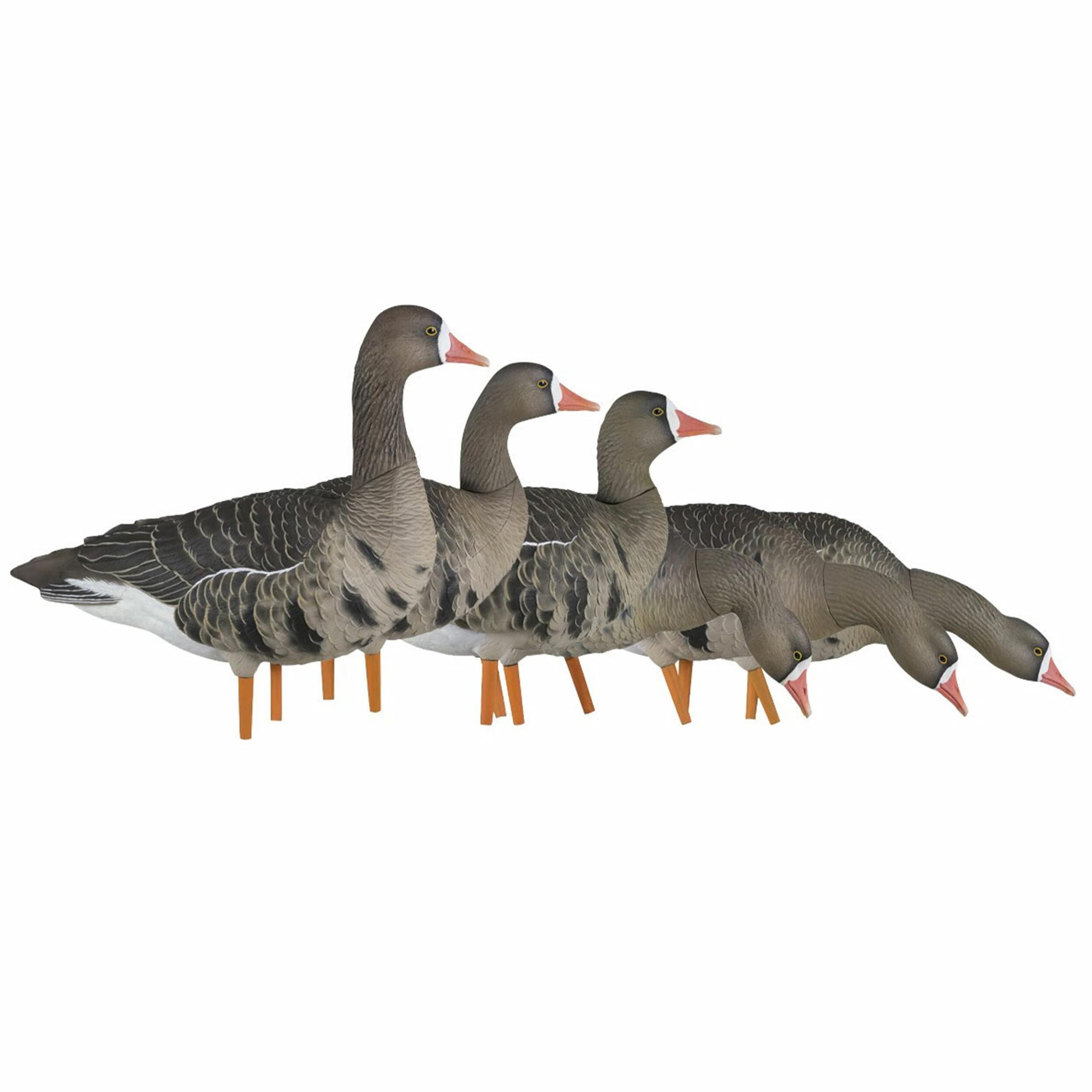  Avian X 408569 Hunting-Equipment - View #2