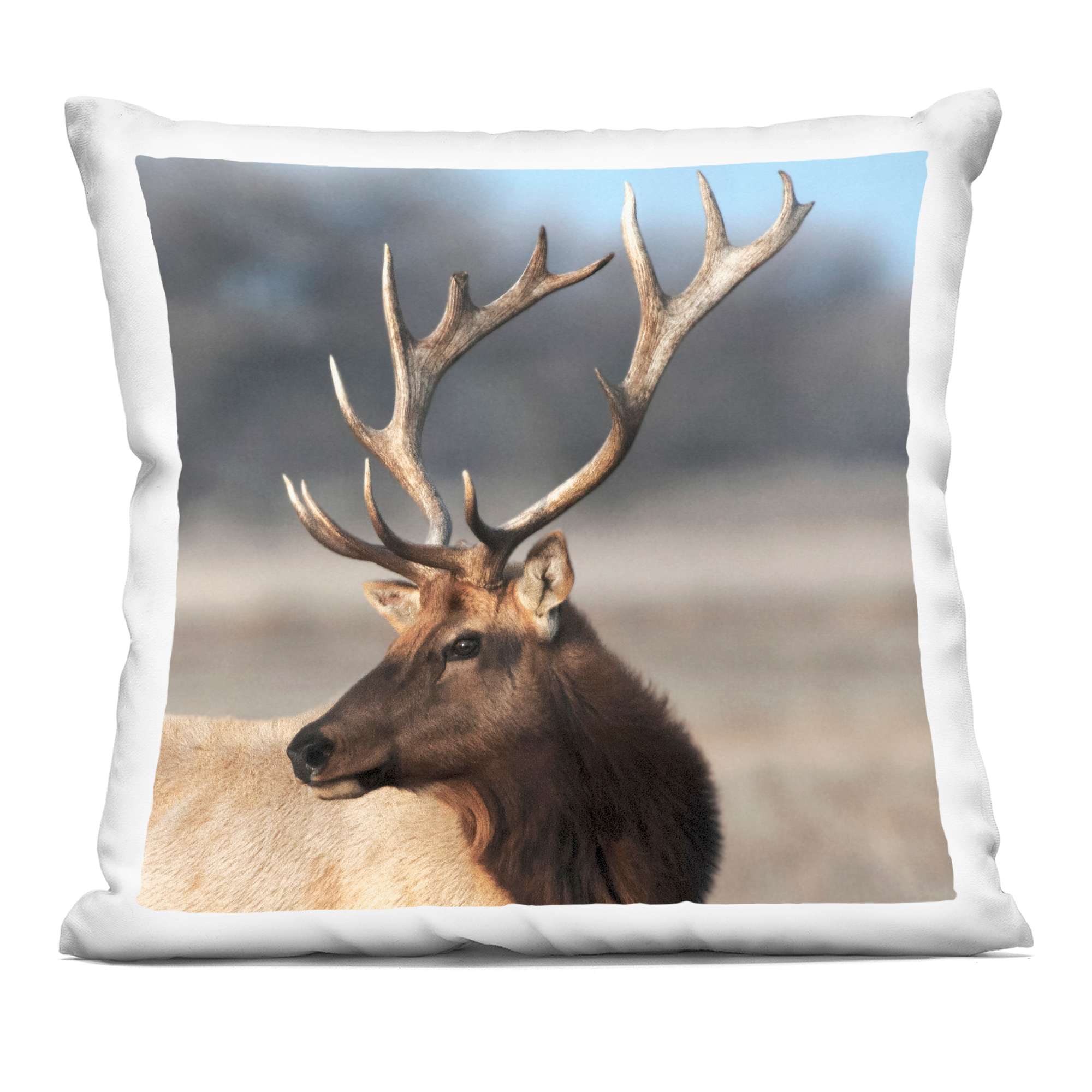 Stupell Industries PLR-086-SQW-18X18 Stunning Elk Portrait Decorative Printed Throw Pillow design by Danita Delimont 18 x 7 x 18