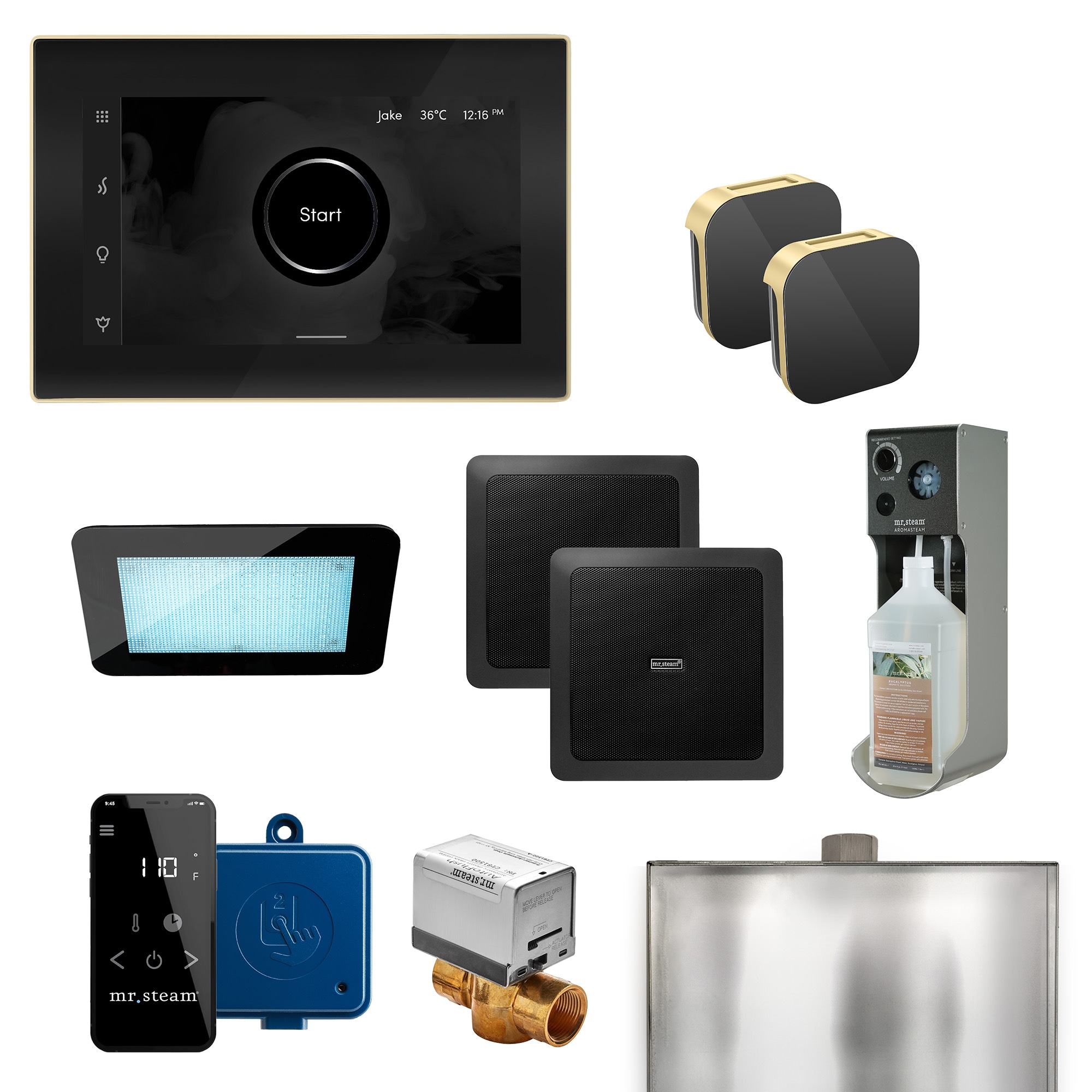 Mr. Steam XDRM1BKXSB Xdream Max 500-Watt Satin Brass Steam generator control kit