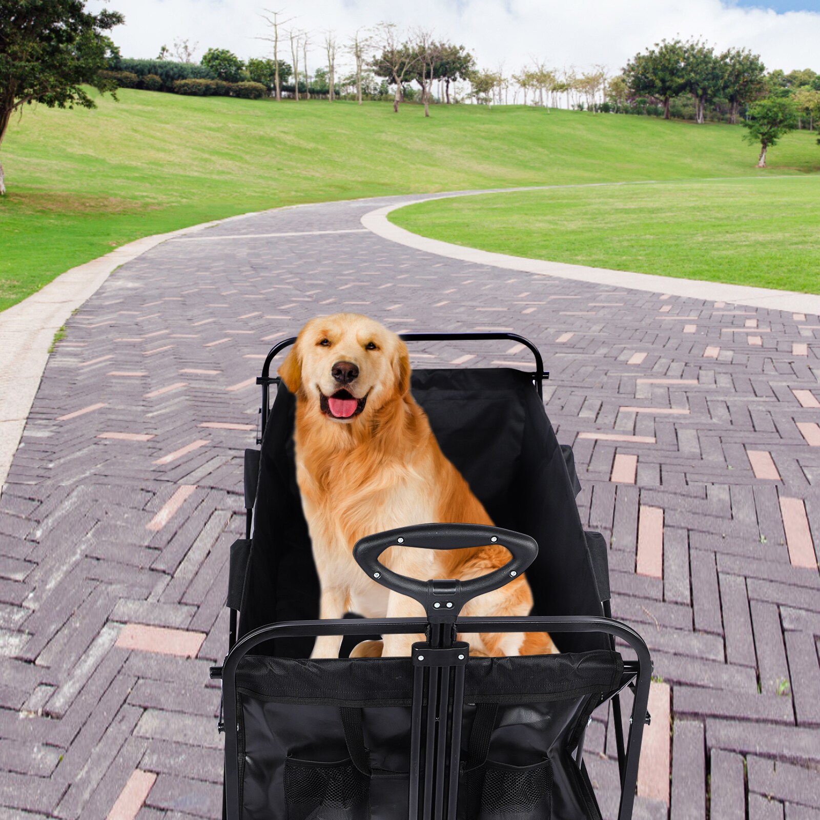 AHIOU HOME ZAAHG-83316C Yard-Carts - View #4