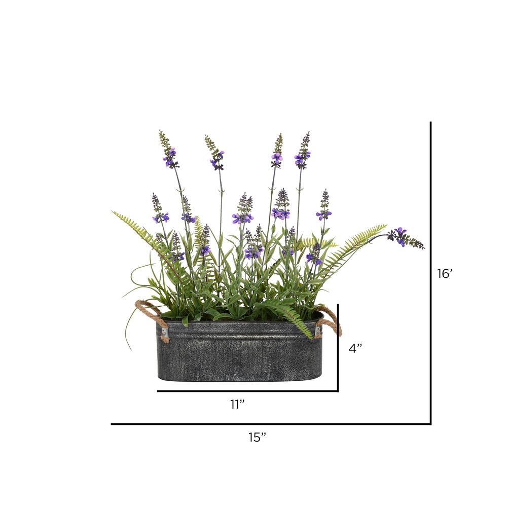  Indoor Lavender Plant